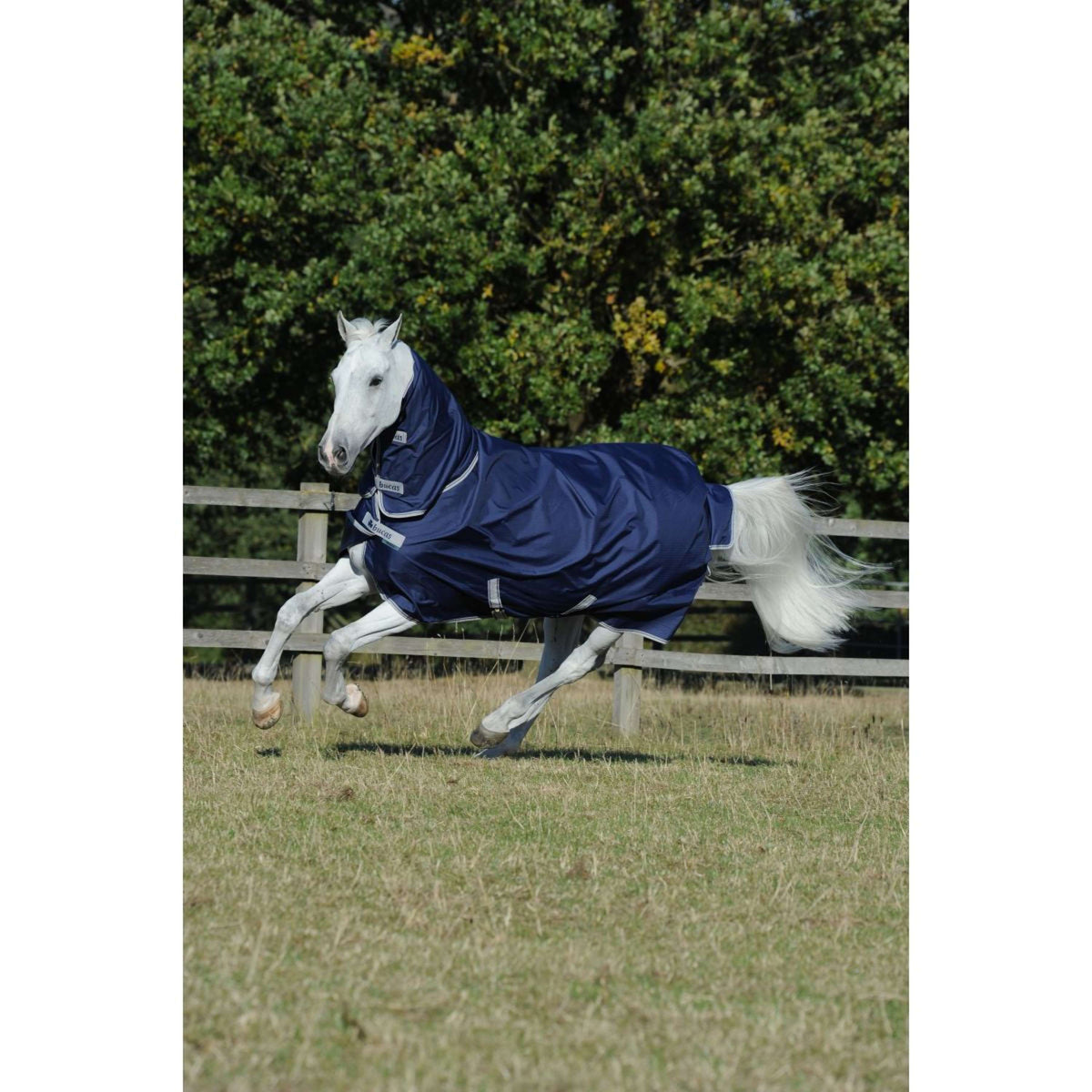 Bucas Freedom Turnout Full Neck 300g Navy/Plata