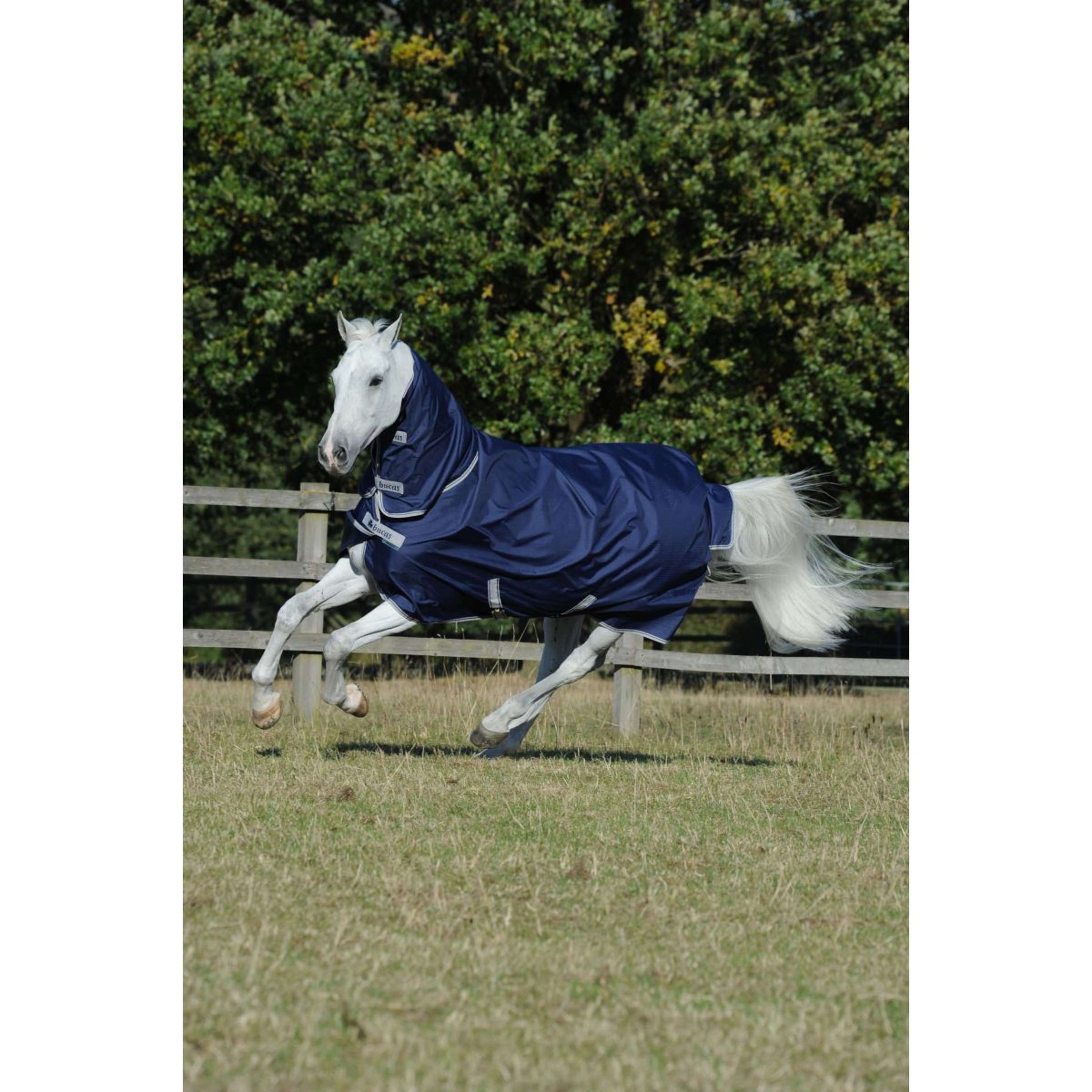 Bucas Freedom Turnout Full Neck 300g Navy/Plata