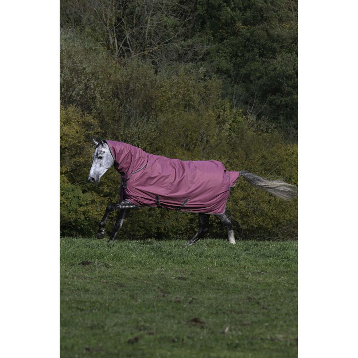 Bucas Freedom Turnout 150/150g Full Neck Frambuesa