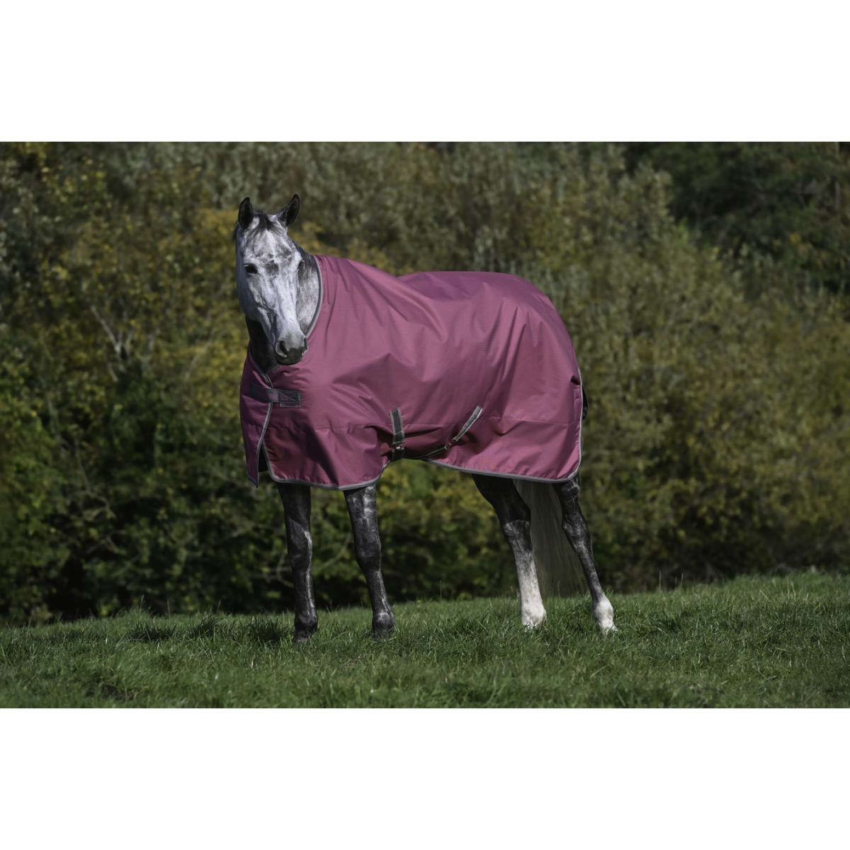 Bucas Freedom Turnout 300g Frambuesa
