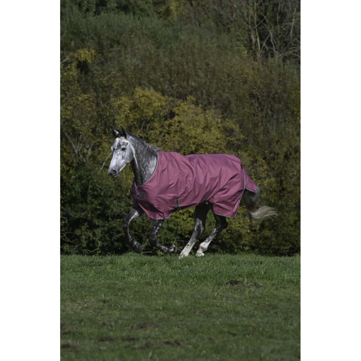 Bucas Freedom Turnout 300g Frambuesa