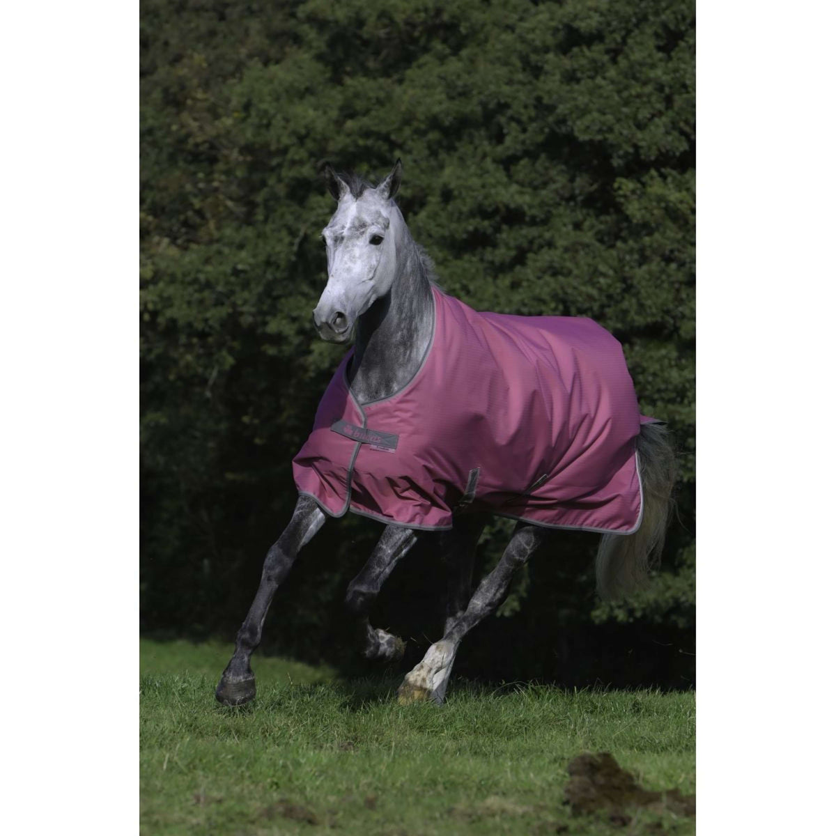 Bucas Freedom Turnout 300g Frambuesa