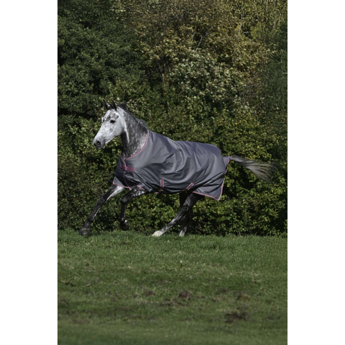 Bucas Freedom Turnout Light 0g Smoke Grey