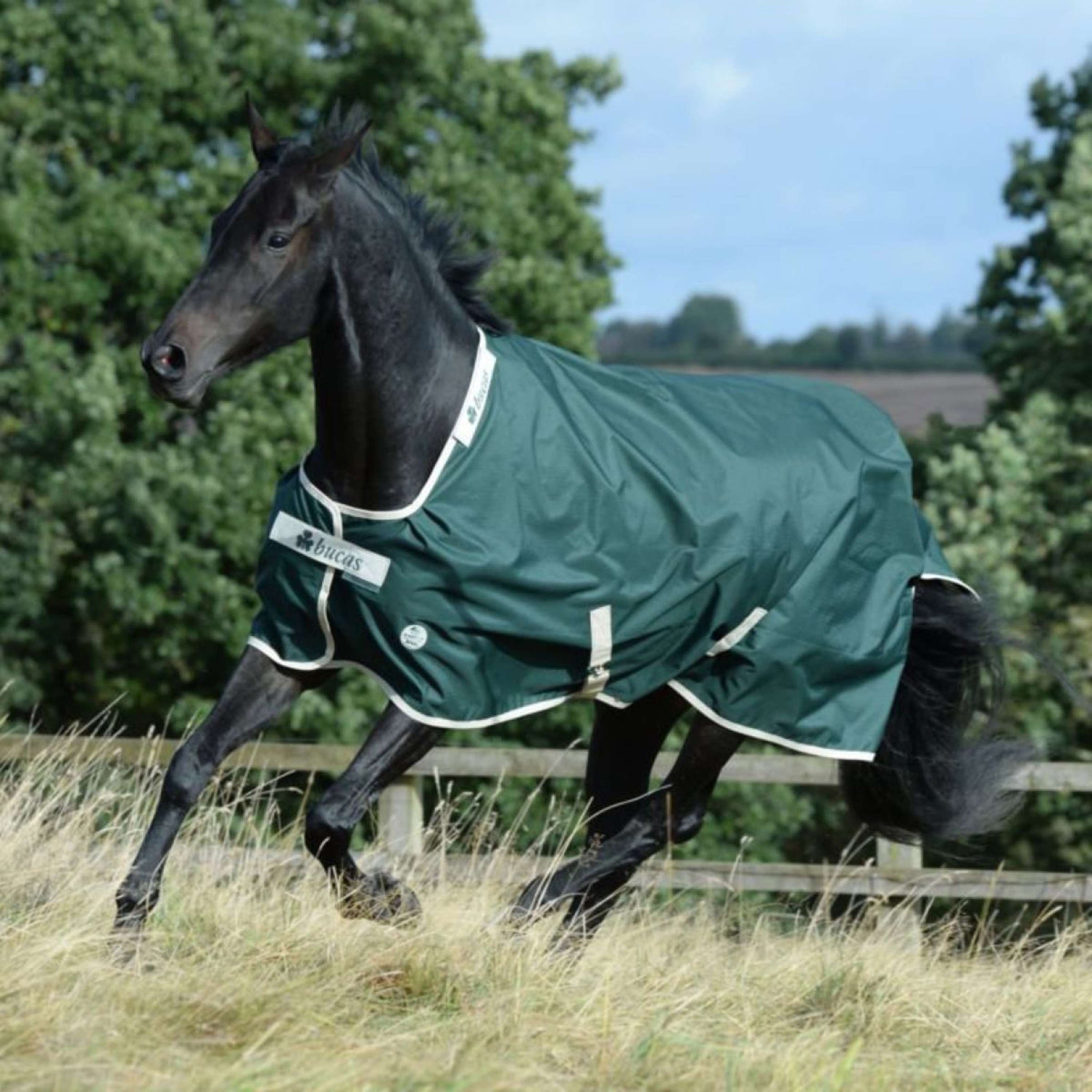 Bucas Manta de Invierno Green-Line Turnout 100g Verde Bucas Manta de Invierno Green-Line Turnout 100g Verde