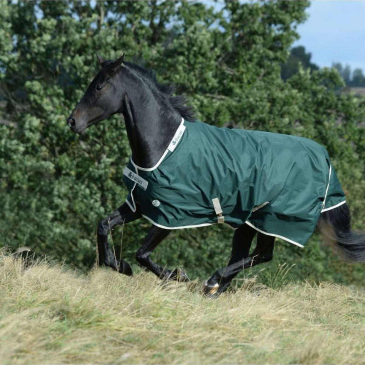 Bucas Manta de Invierno Green-Line Turnout 100g Verde