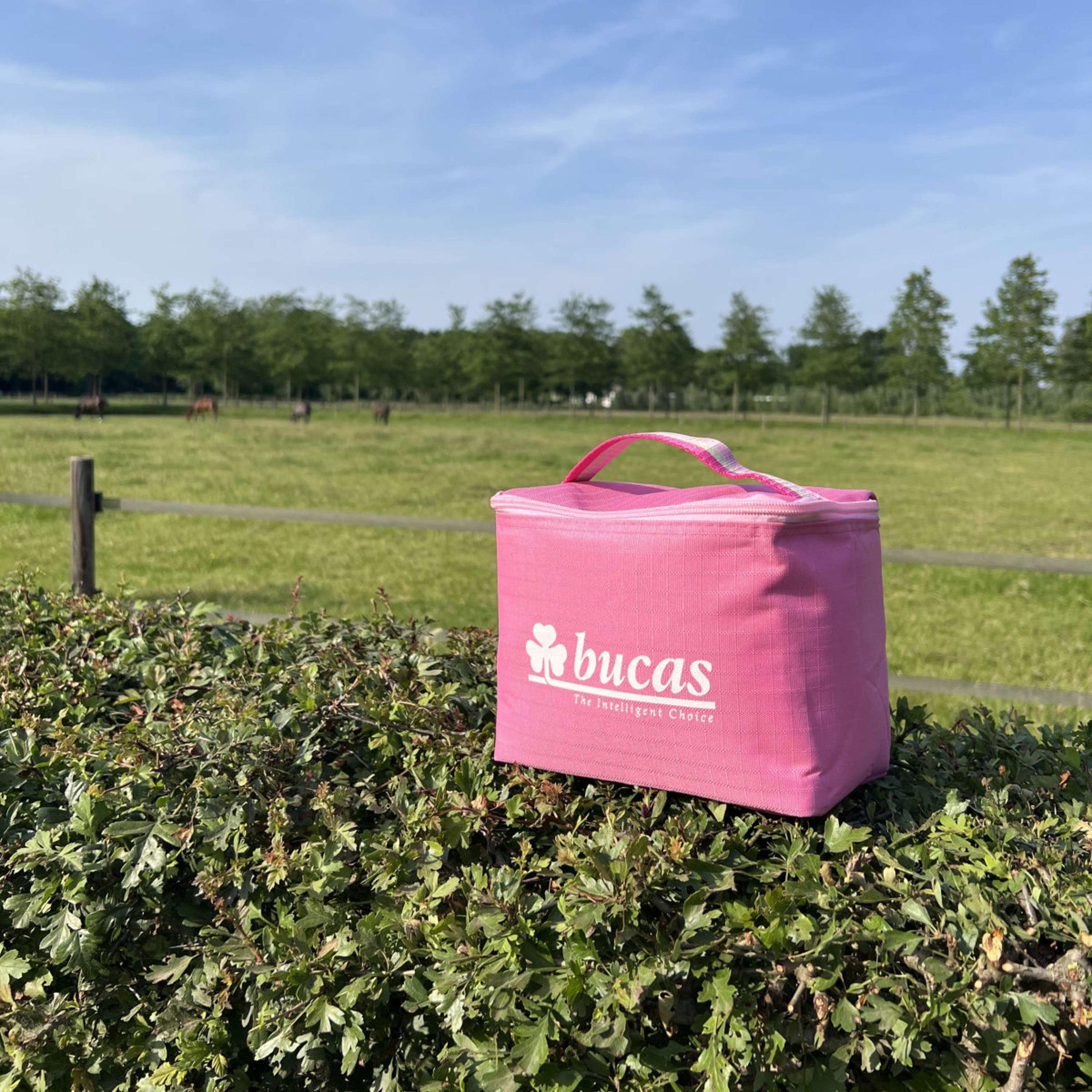 Bucas Cool Bag Aurora Pink Bucas Cool Bag Aurora Pink