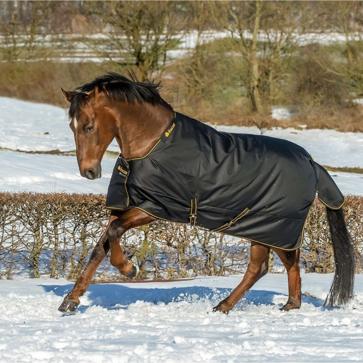 Bucas Irish Turnout 150gr Negro/Oro