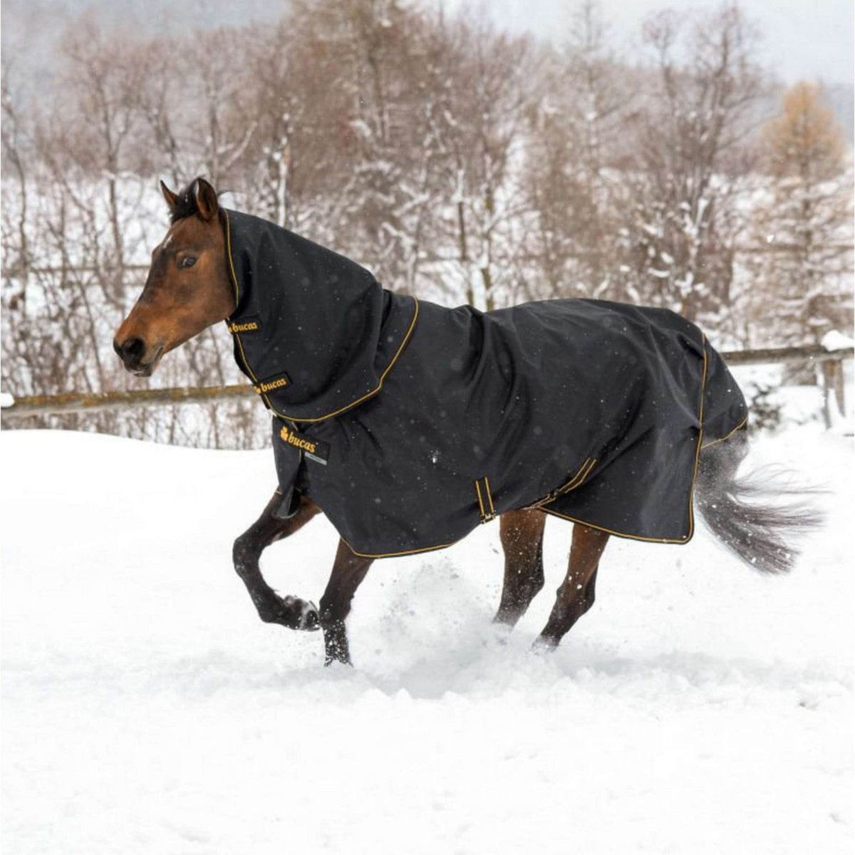 Bucas Irish Turnout Light 50g + Neck Negro/Oro