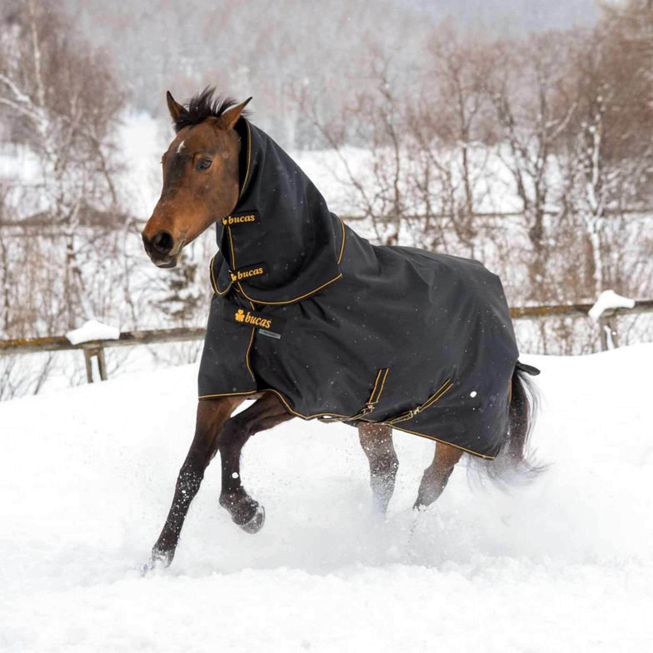 Bucas Irish Turnout Light 50g + Neck Negro/Oro