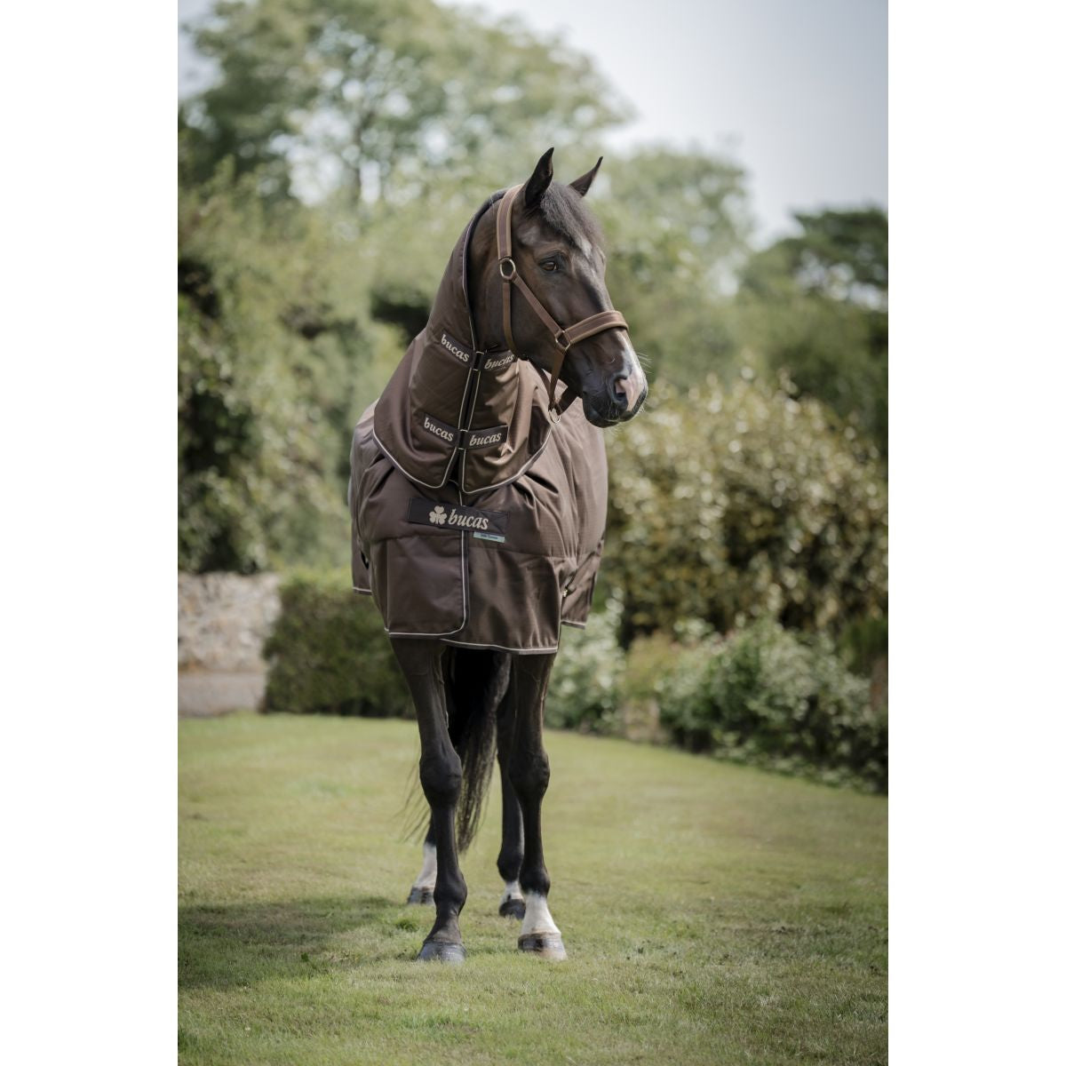 Bucas Irish Turnout 150g + Neck Colocar Espresso