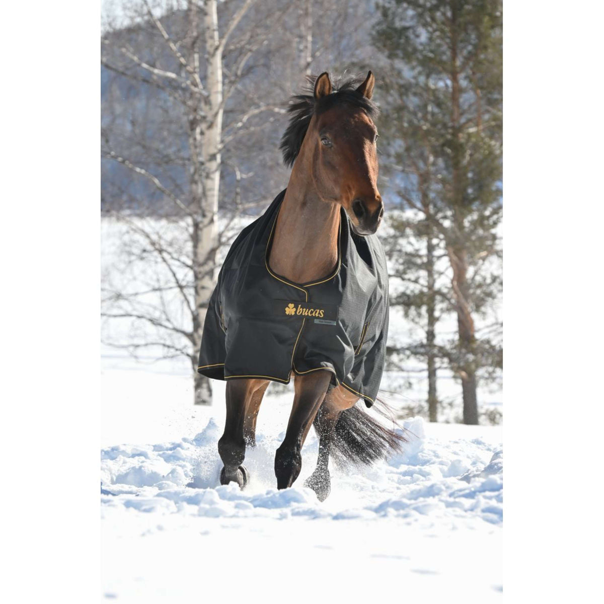 Bucas Irish Turnout 100g Negro/Oro