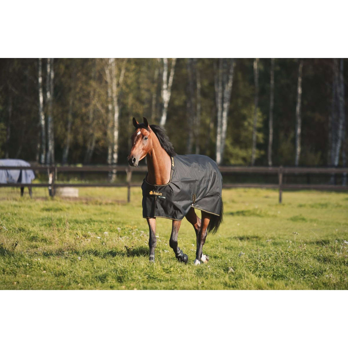 Bucas Irish Turnout 100g Negro/Oro