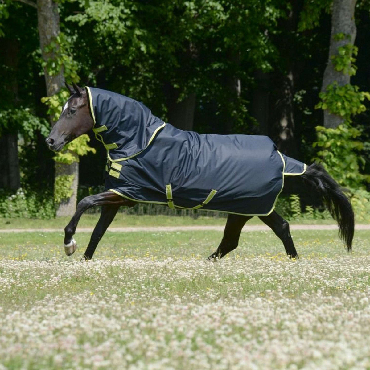 Bucas Oasis Turnout Neck 100g Dark Grey/Lime