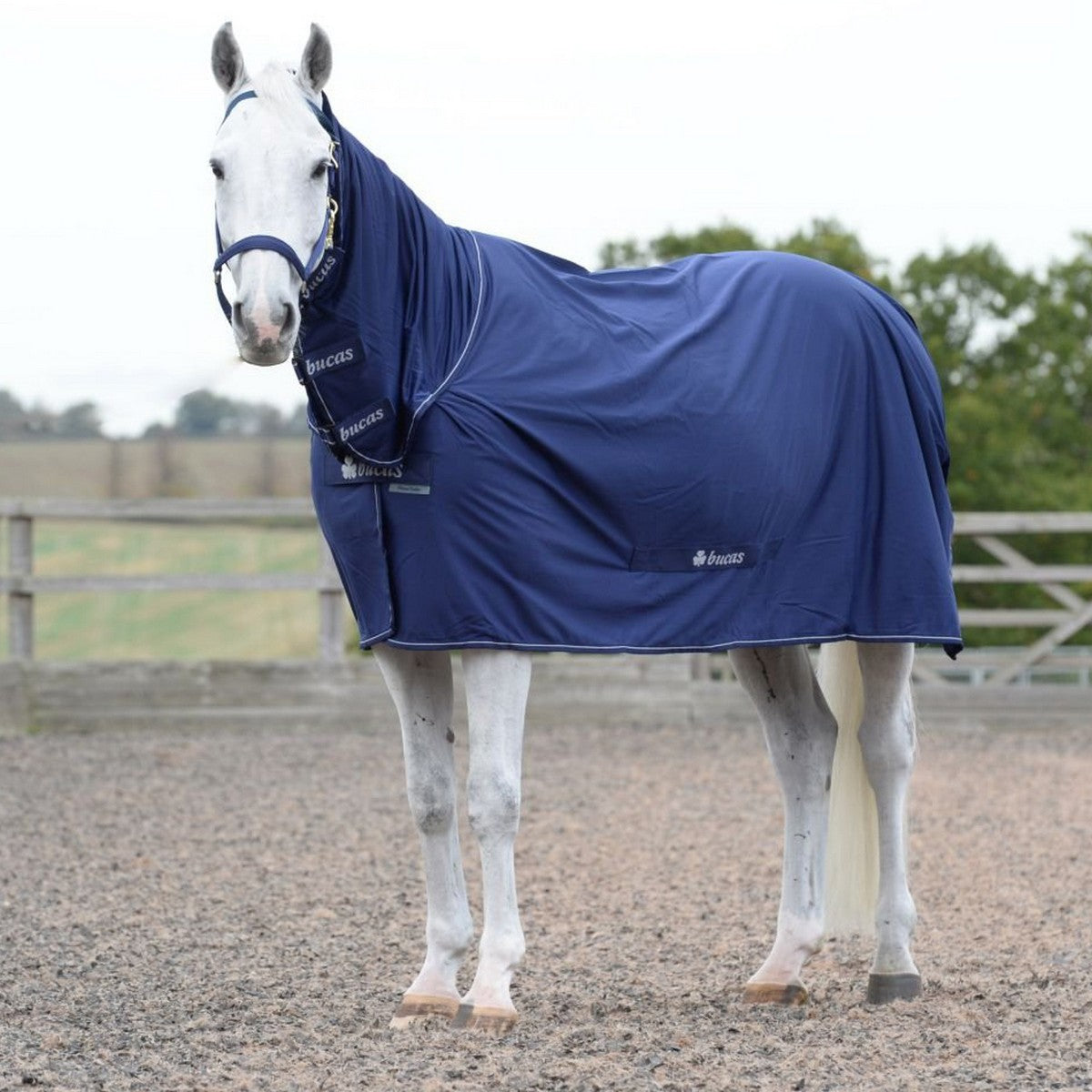 Bucas Power Cooler Navy/Plata