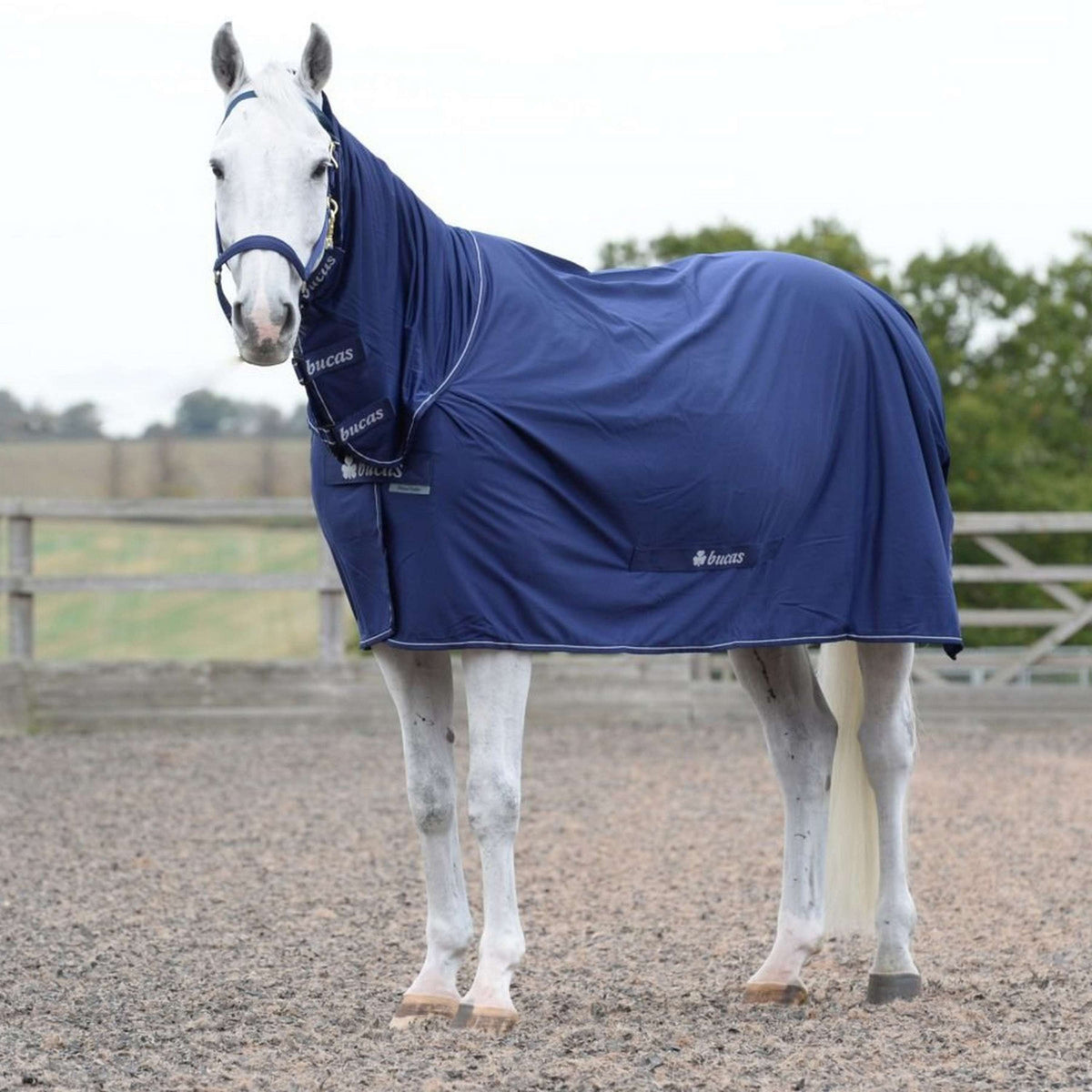 Bucas Power Cooler Navy/Plata