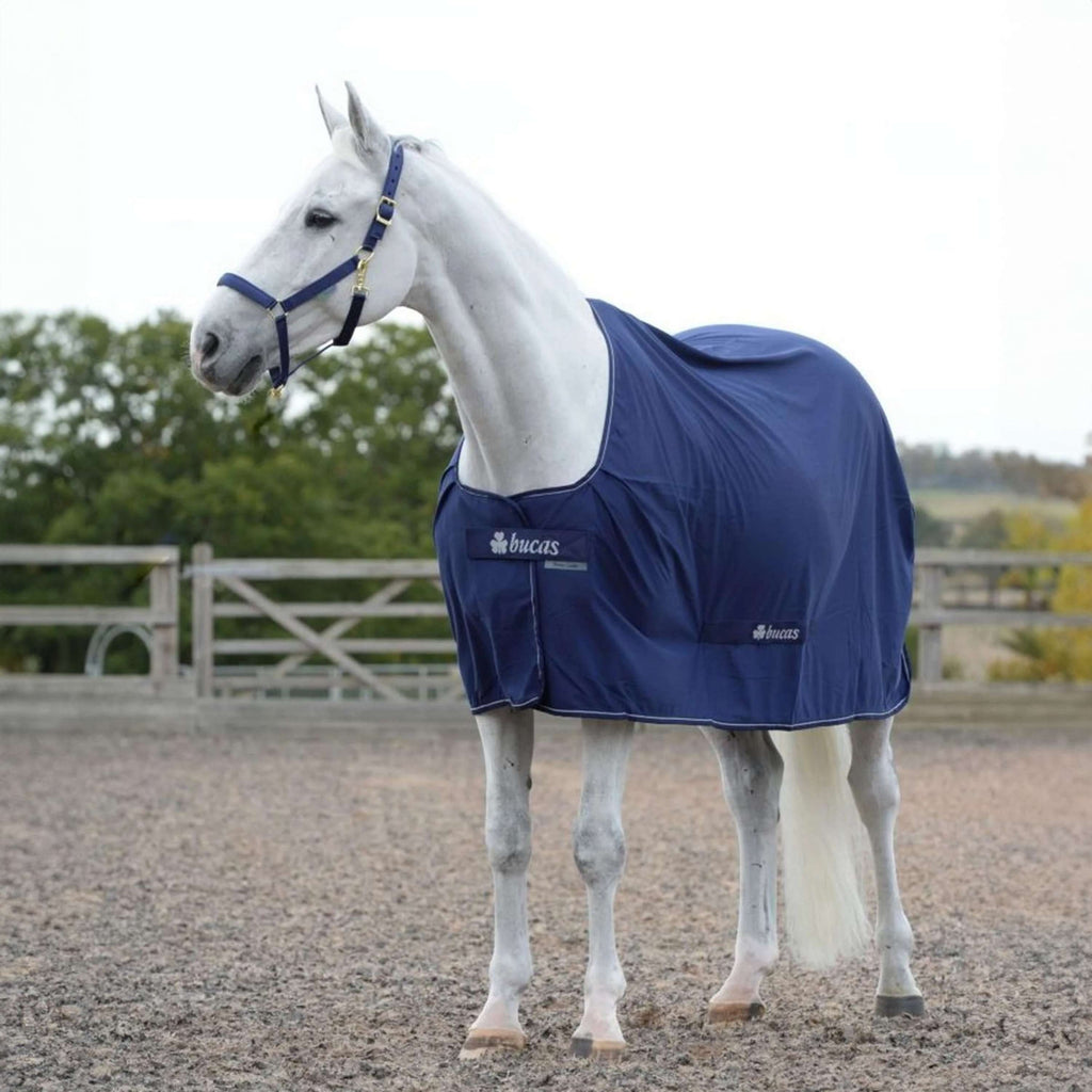 Bucas Power Cooler Navy/Plata