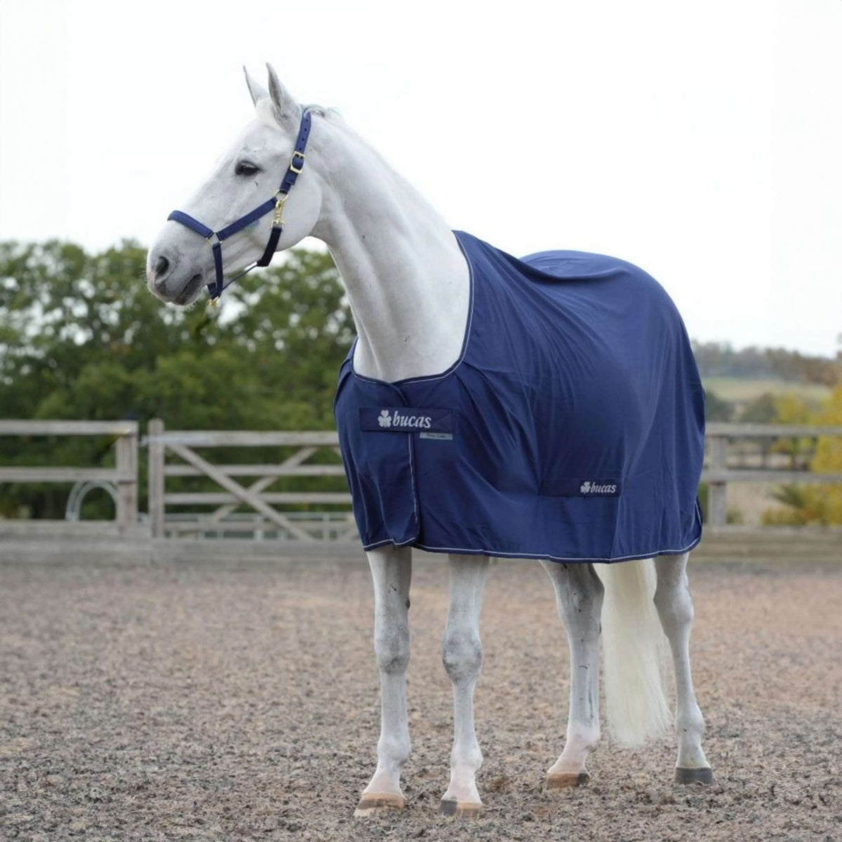 Bucas Power Cooler Navy/Plata