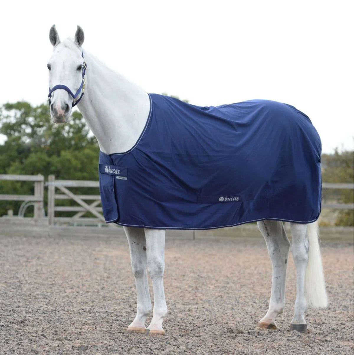 Bucas Power Cooler Navy/Plata