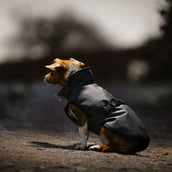 Bucas Dog Rug Reflectglow Reflectglow