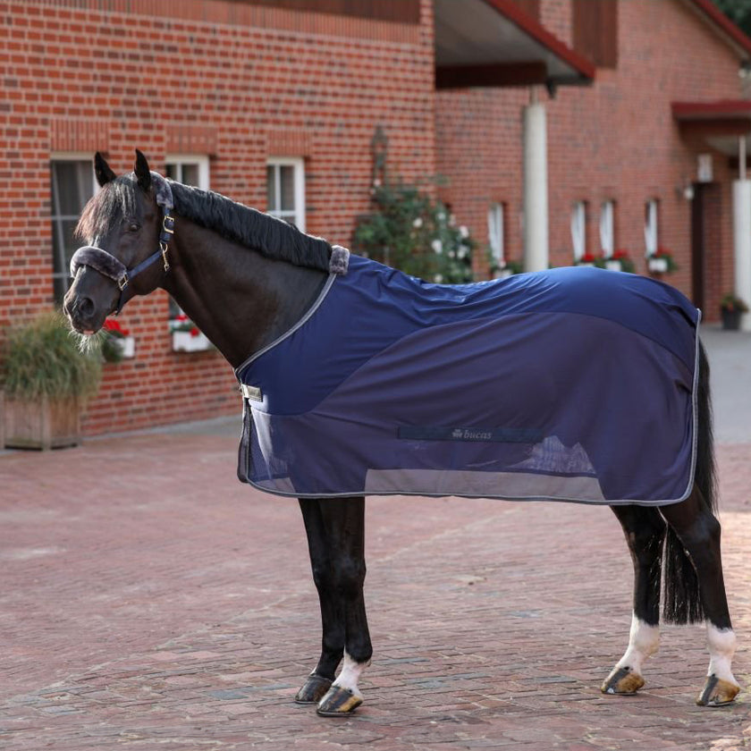 Bucas Cooler Show-Line Competition Azul/Gris