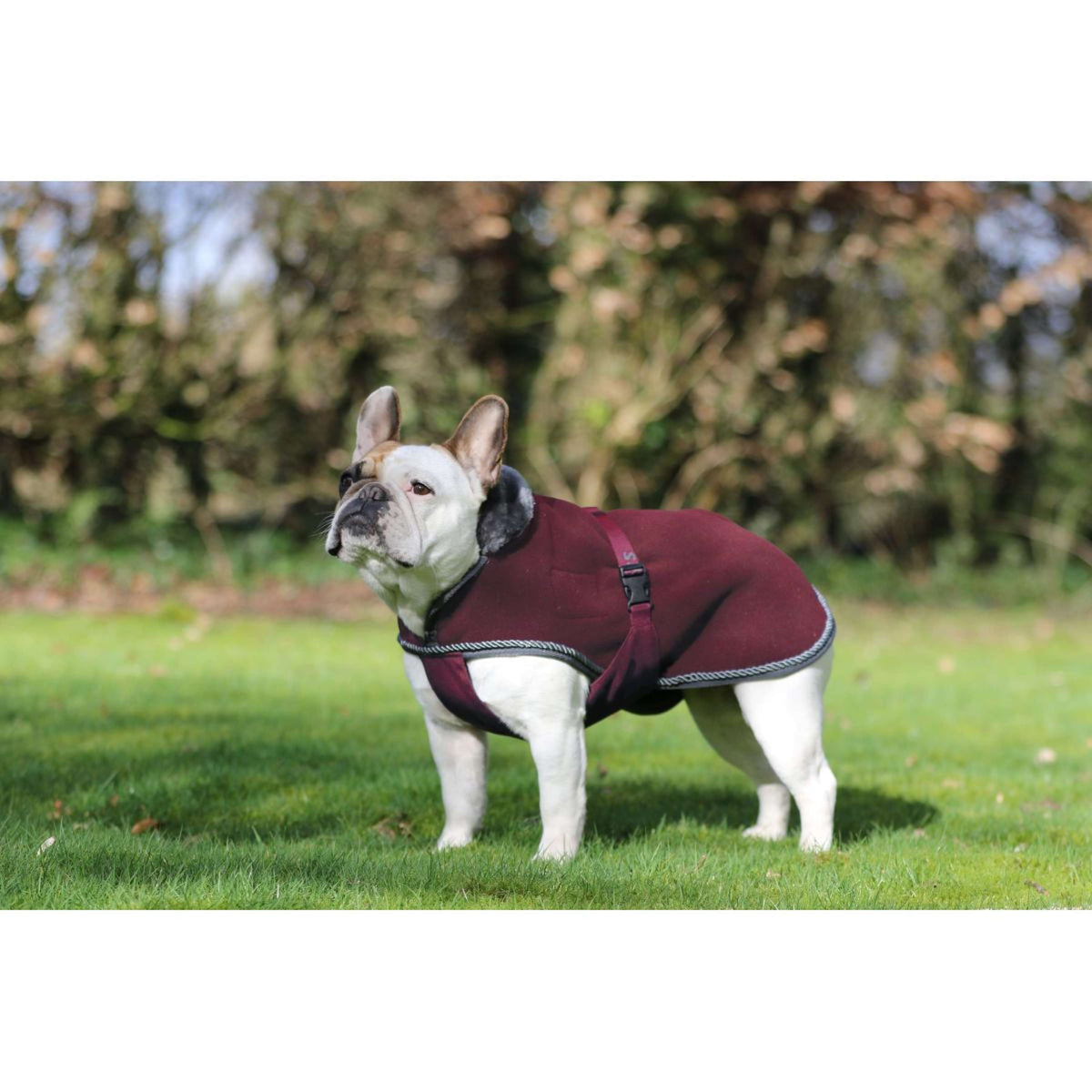 Bucas Manta para Perros Show-Line Burdeos/Gris