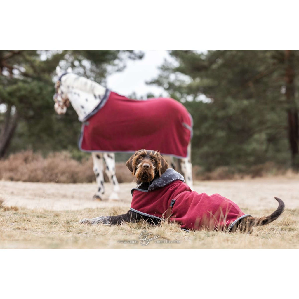Bucas Manta para Perros Show-Line Burdeos/Gris