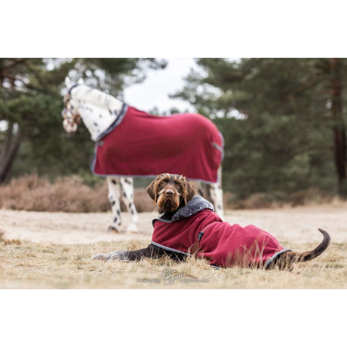Bucas Manta para Perros Show-Line Burdeos/Gris