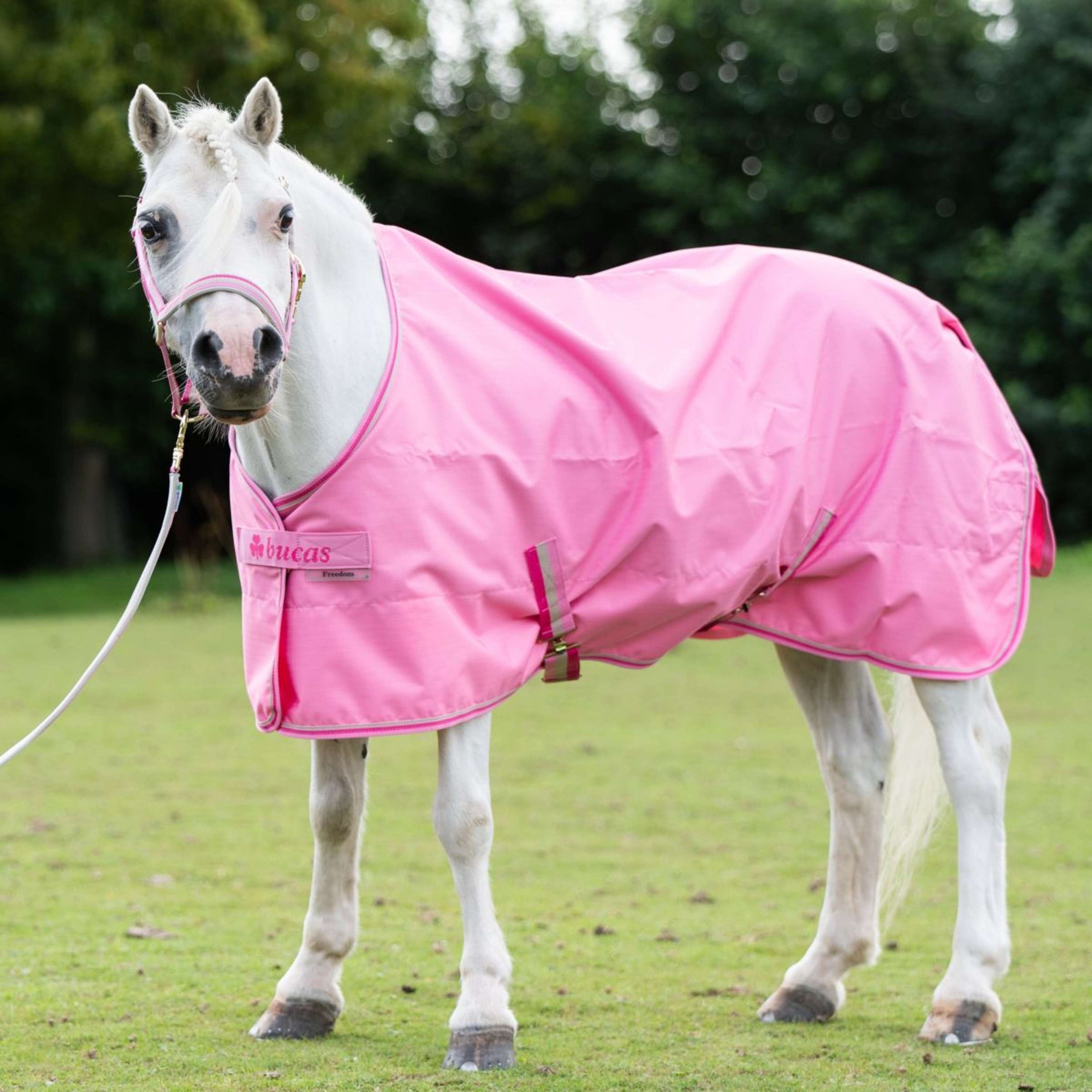Bucas Freedom Turnout Light 0g Aurora Pink Bucas Freedom Turnout Light 0g Aurora Pink