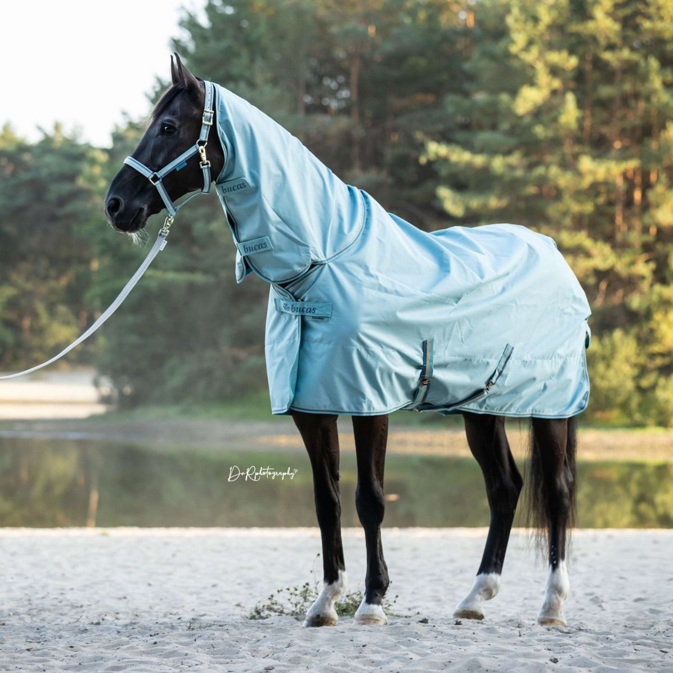 Bucas Freedom Turnout Full Neck 0g Turquoise Bucas Freedom Turnout Full Neck 0g Turquoise
