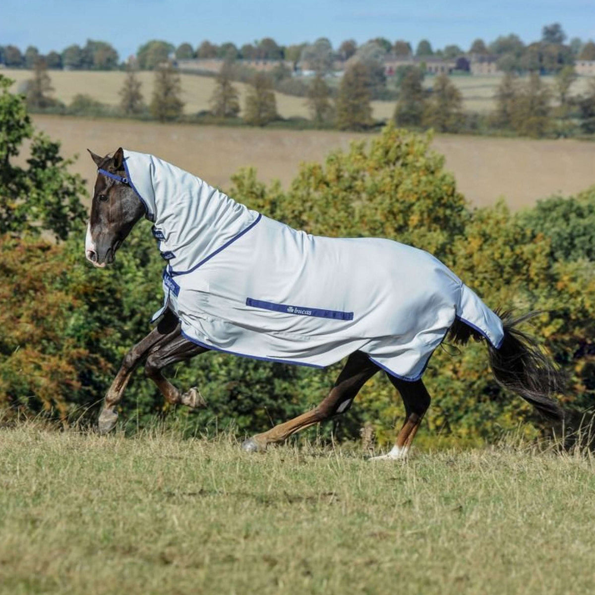 Bucas Sweet-itch Plata