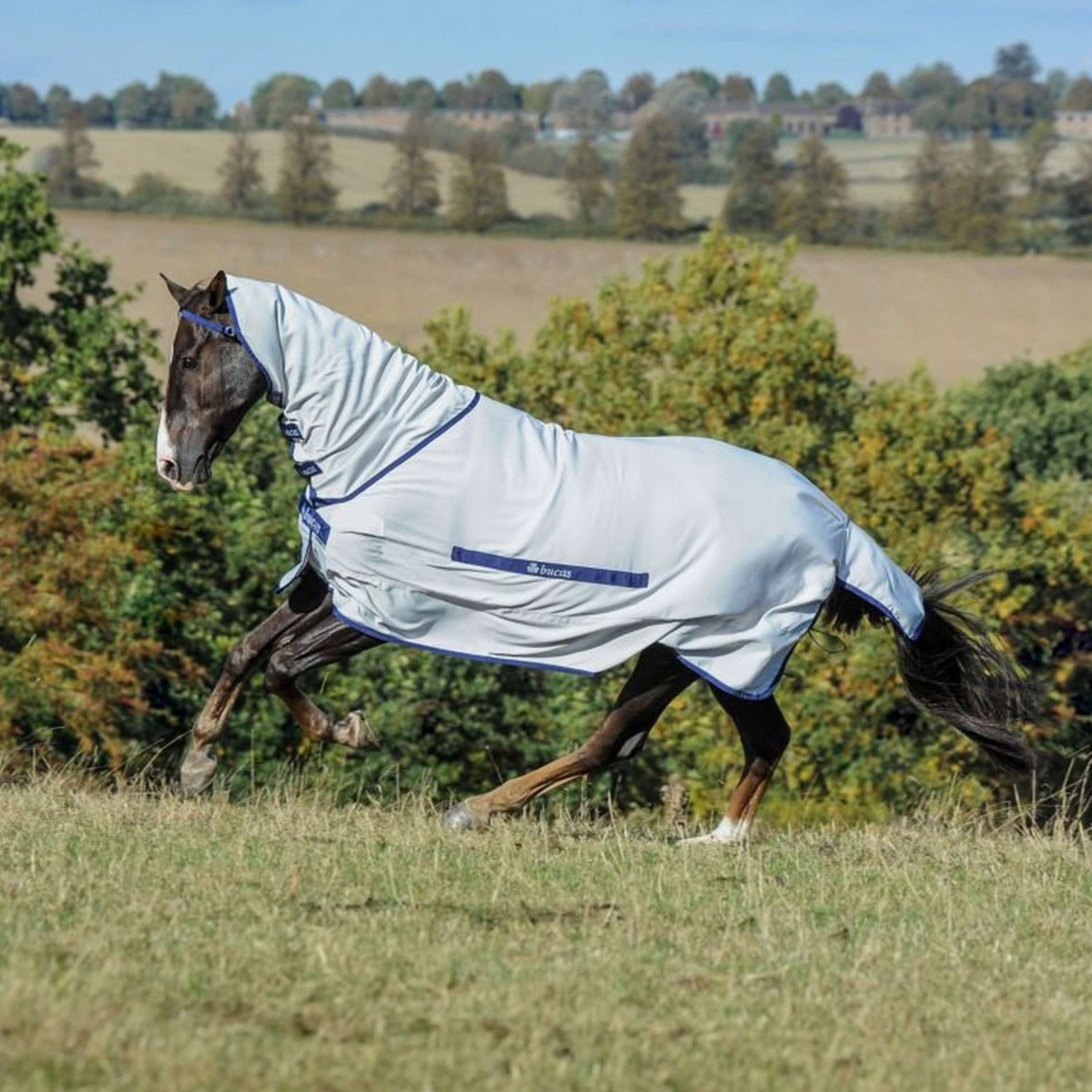 Bucas Sweet-itch Plata