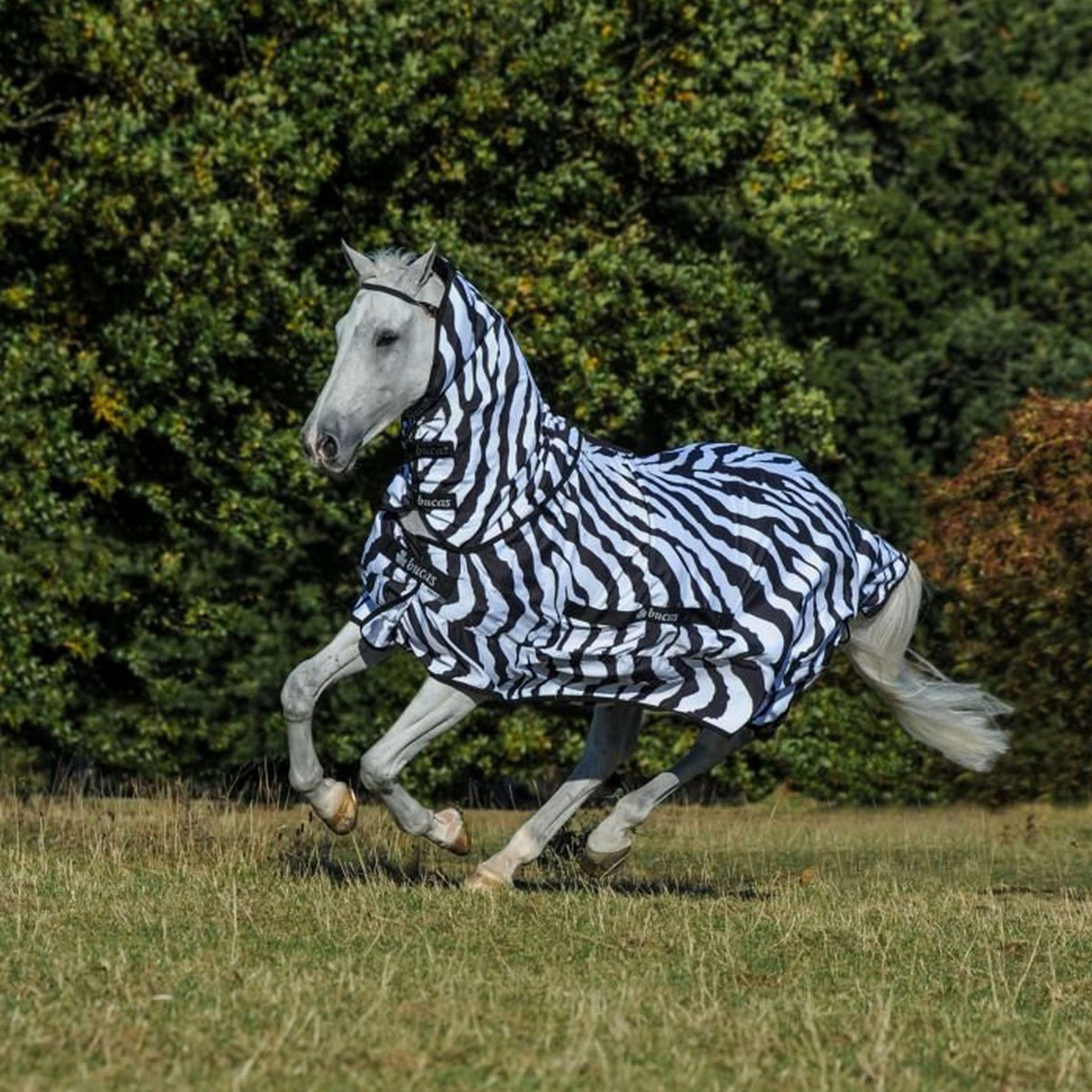 Bucas Manta para Eczema Zebra Bucas Manta para Eczema Zebra