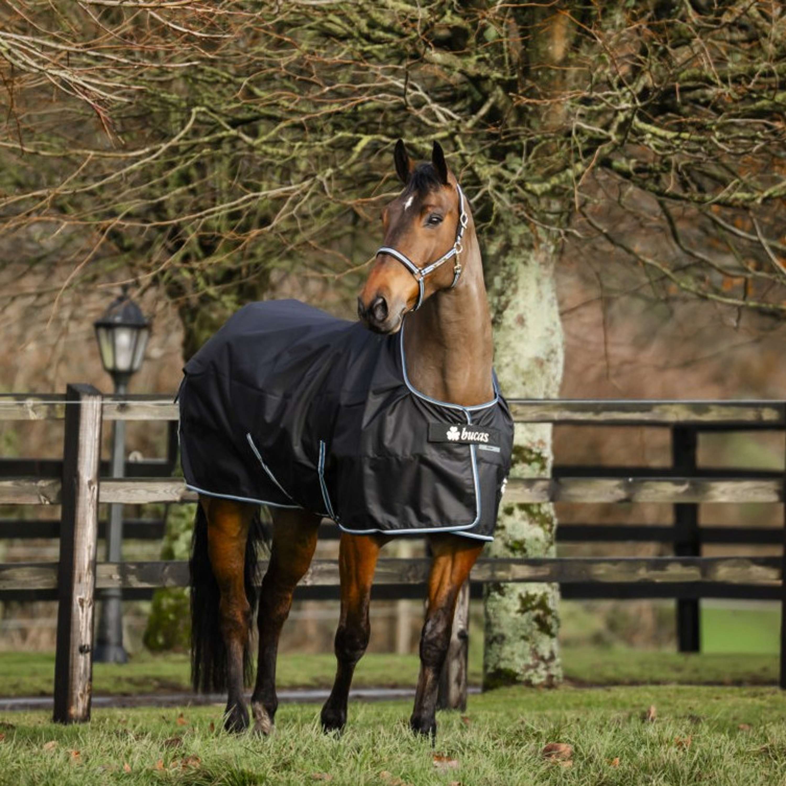 Bucas Anniversary Turnout Dermo-care 50g Sapphire