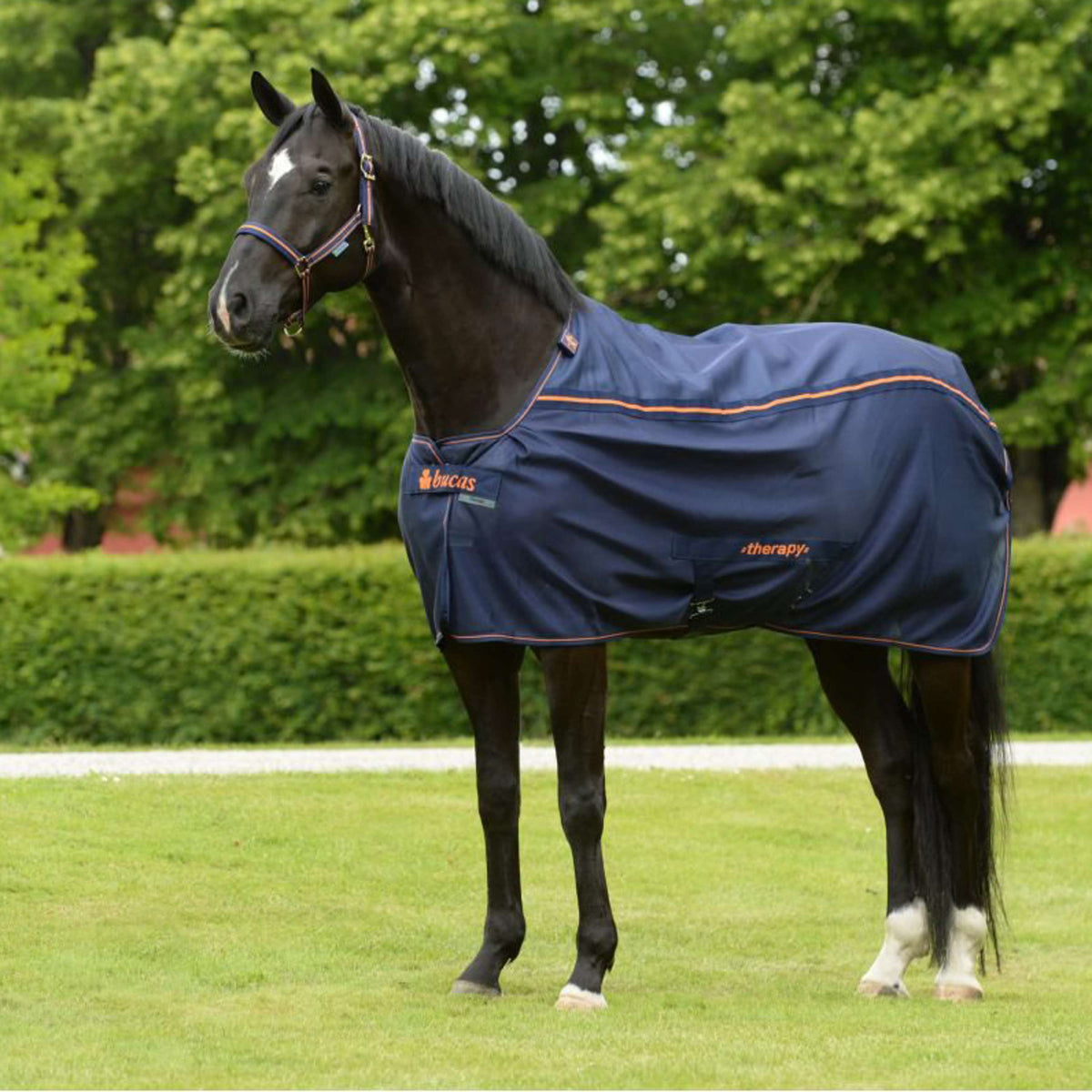 Bucas Therapy Mesh Cooler Marino Naranja