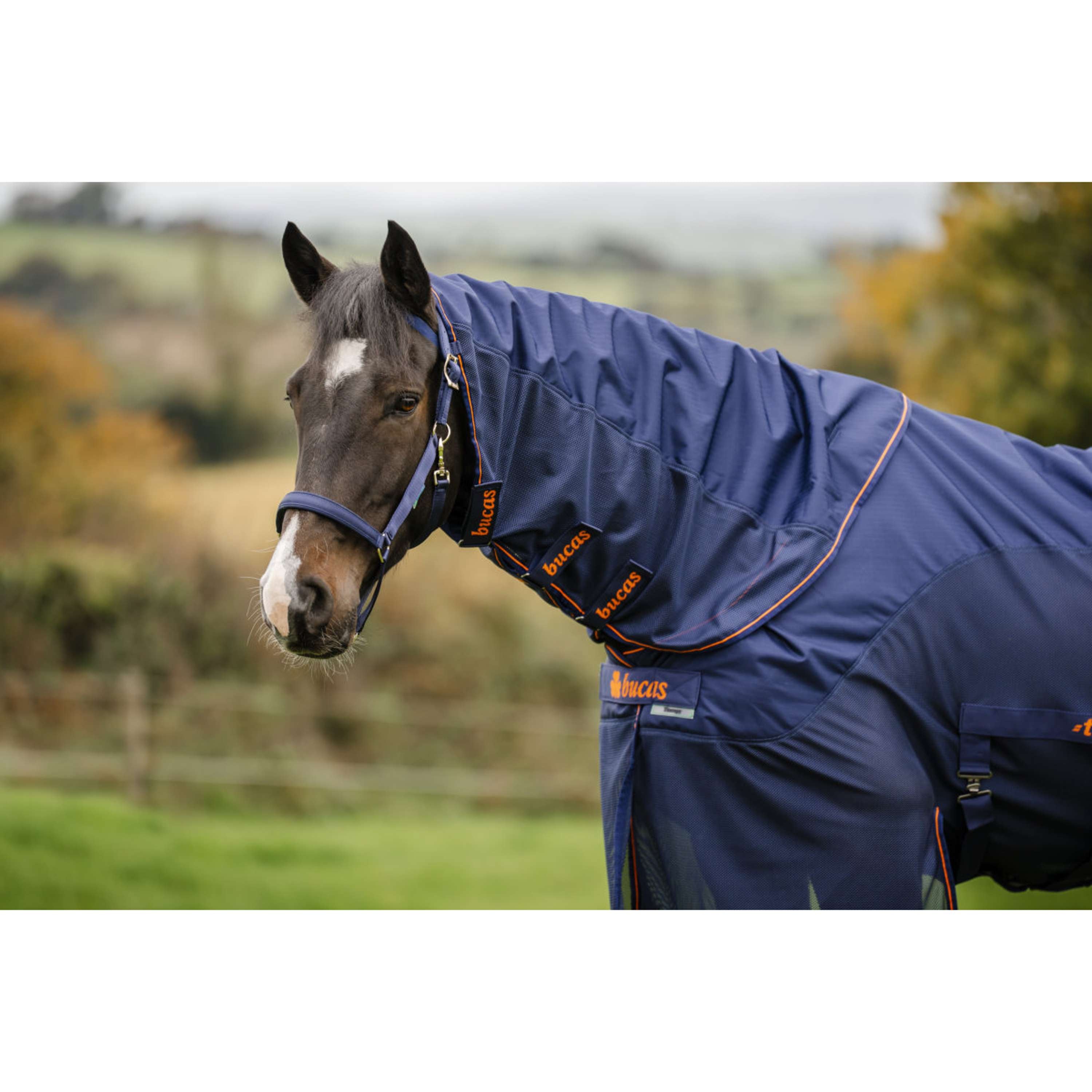 Bucas Therapy X-Range Rain Marino Naranja