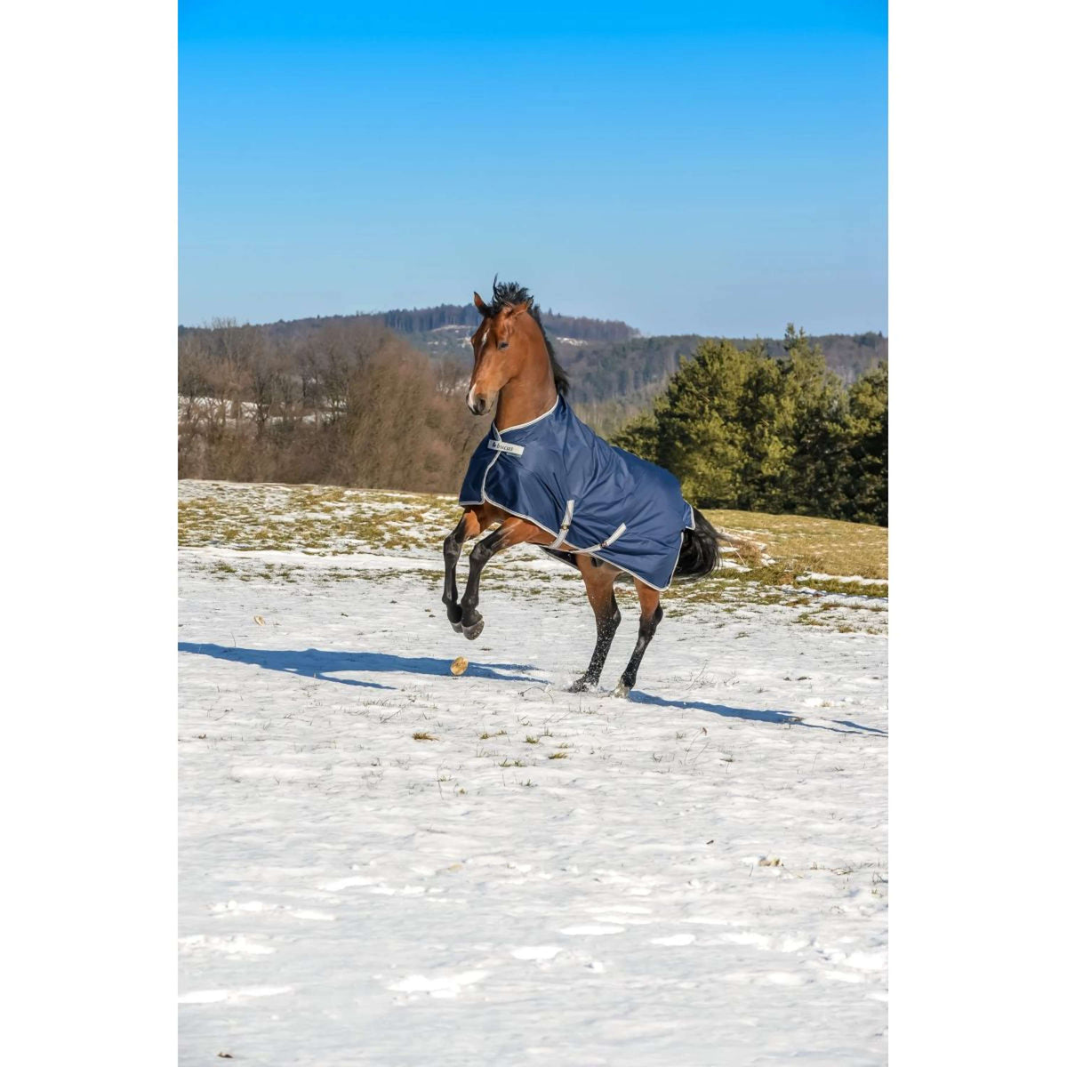 Bucas Turnout Freedom 300gr Navy