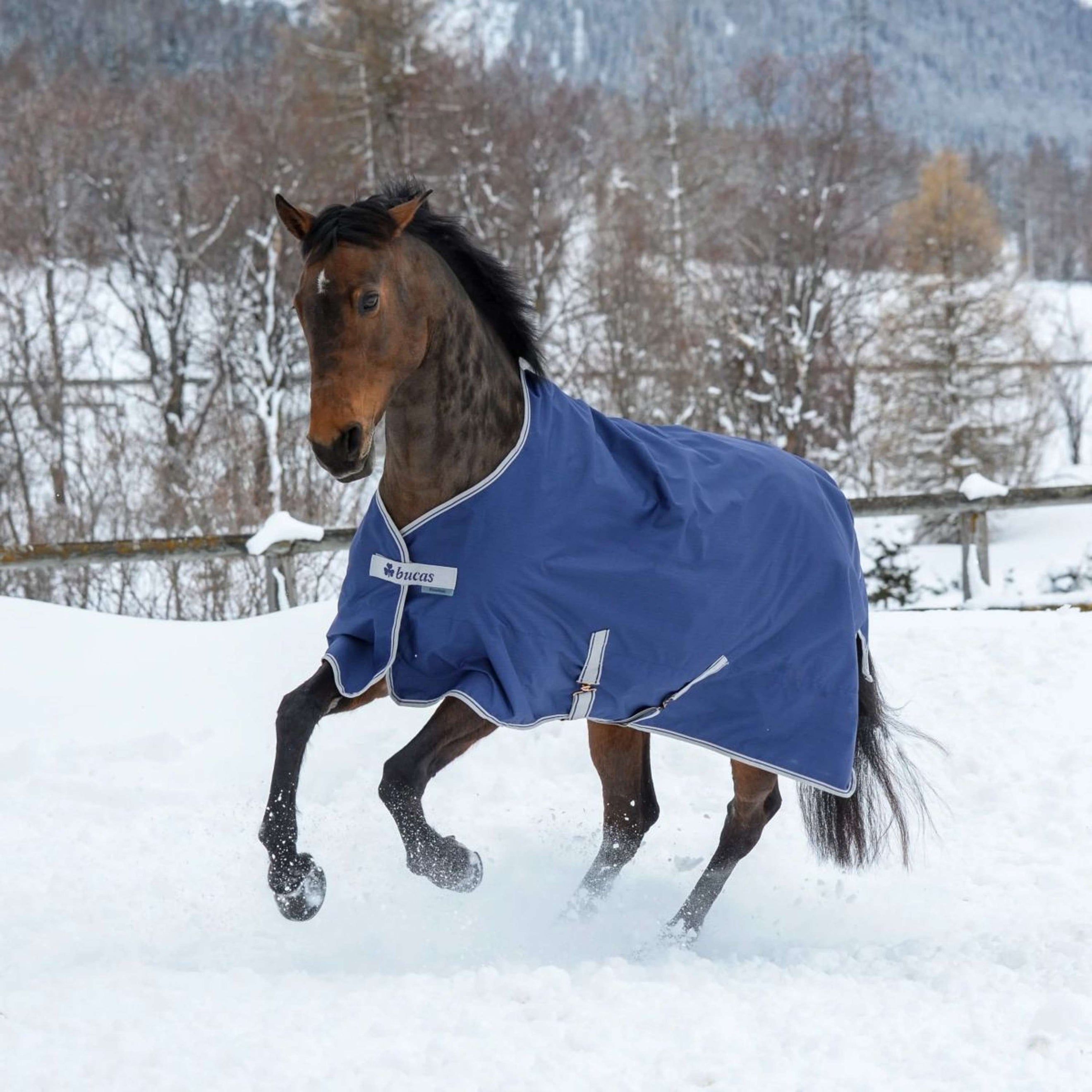 Bucas Turnout Freedom 300g Navy