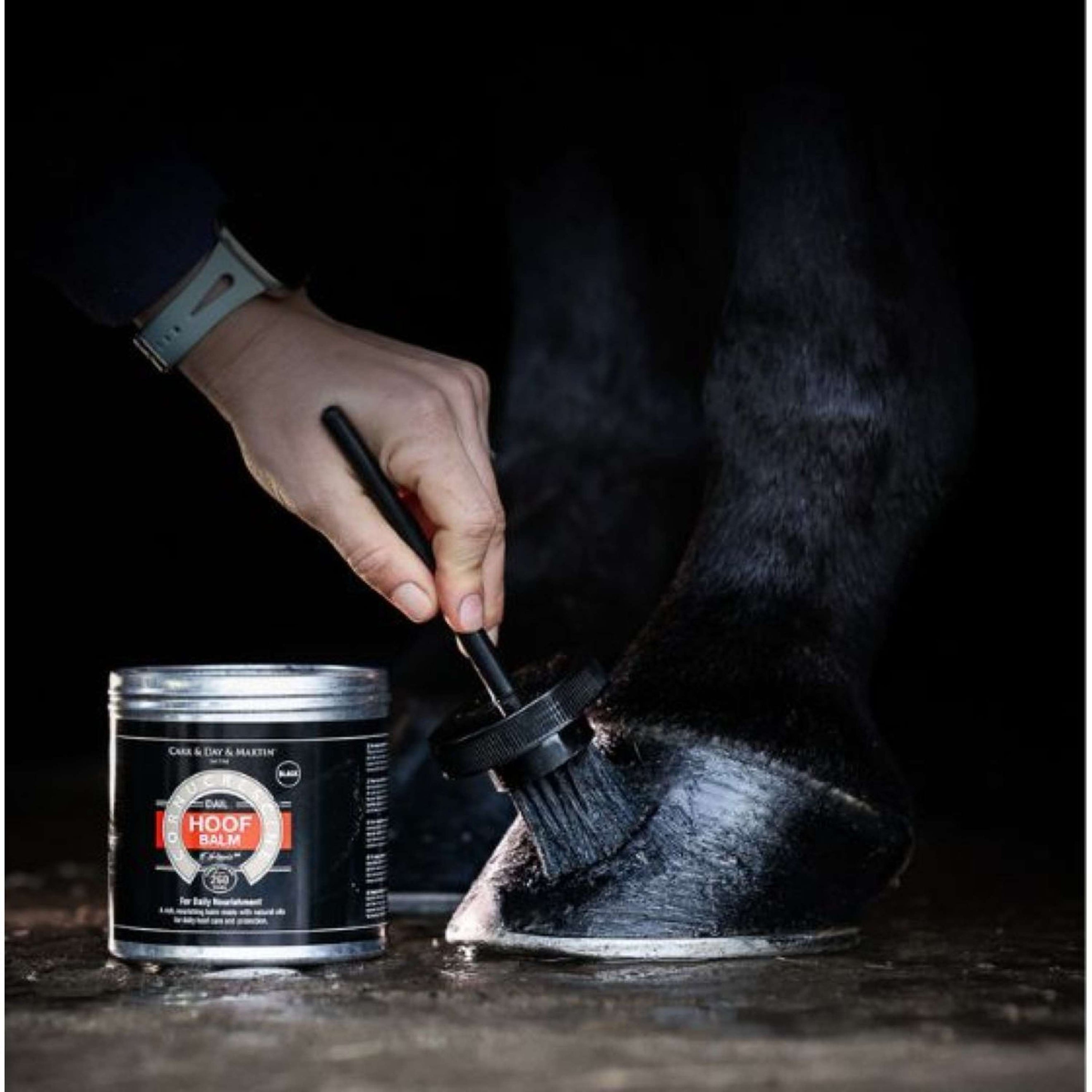 Carr & Day & Martin Cornucrescine Hoof Balm Black