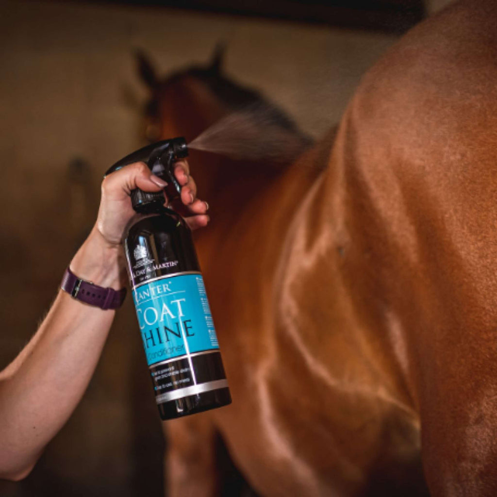 Carr & Day & Martin Spray Brillante Canter Coat Shine