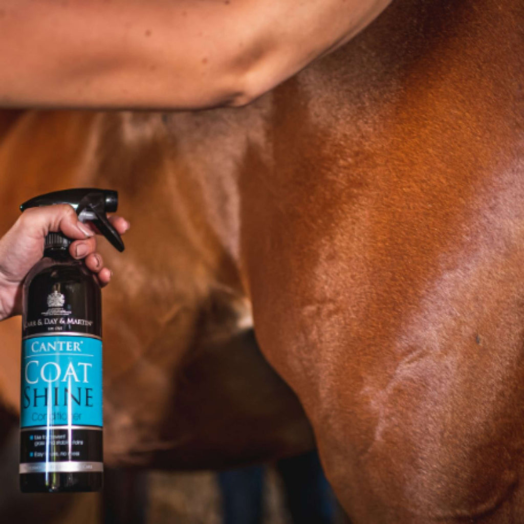Carr & Day & Martin Spray Brillante Canter Coat Shine