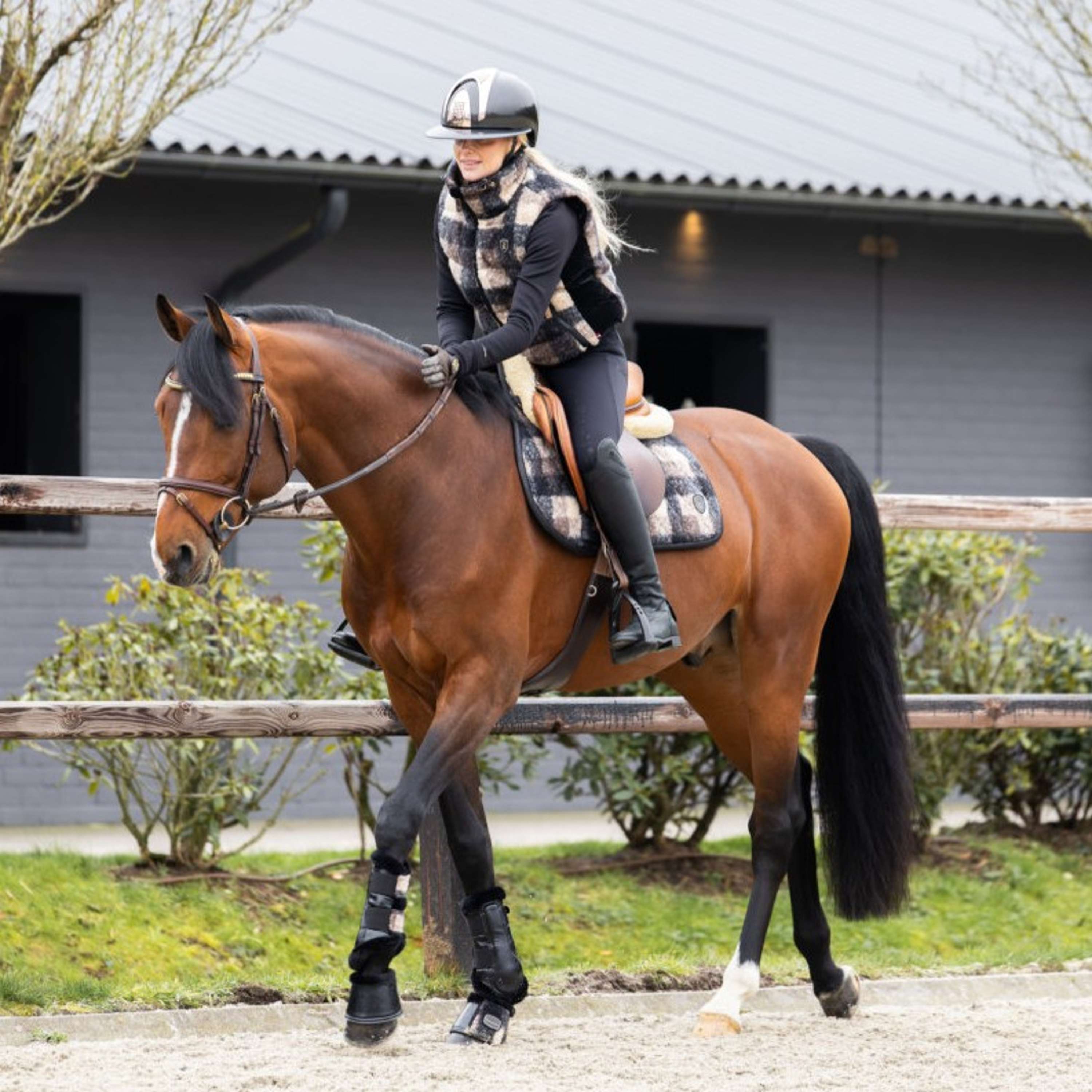 Cavallo Mantilla Cavallevie Doma Clásica Kleur ES: Cuadros