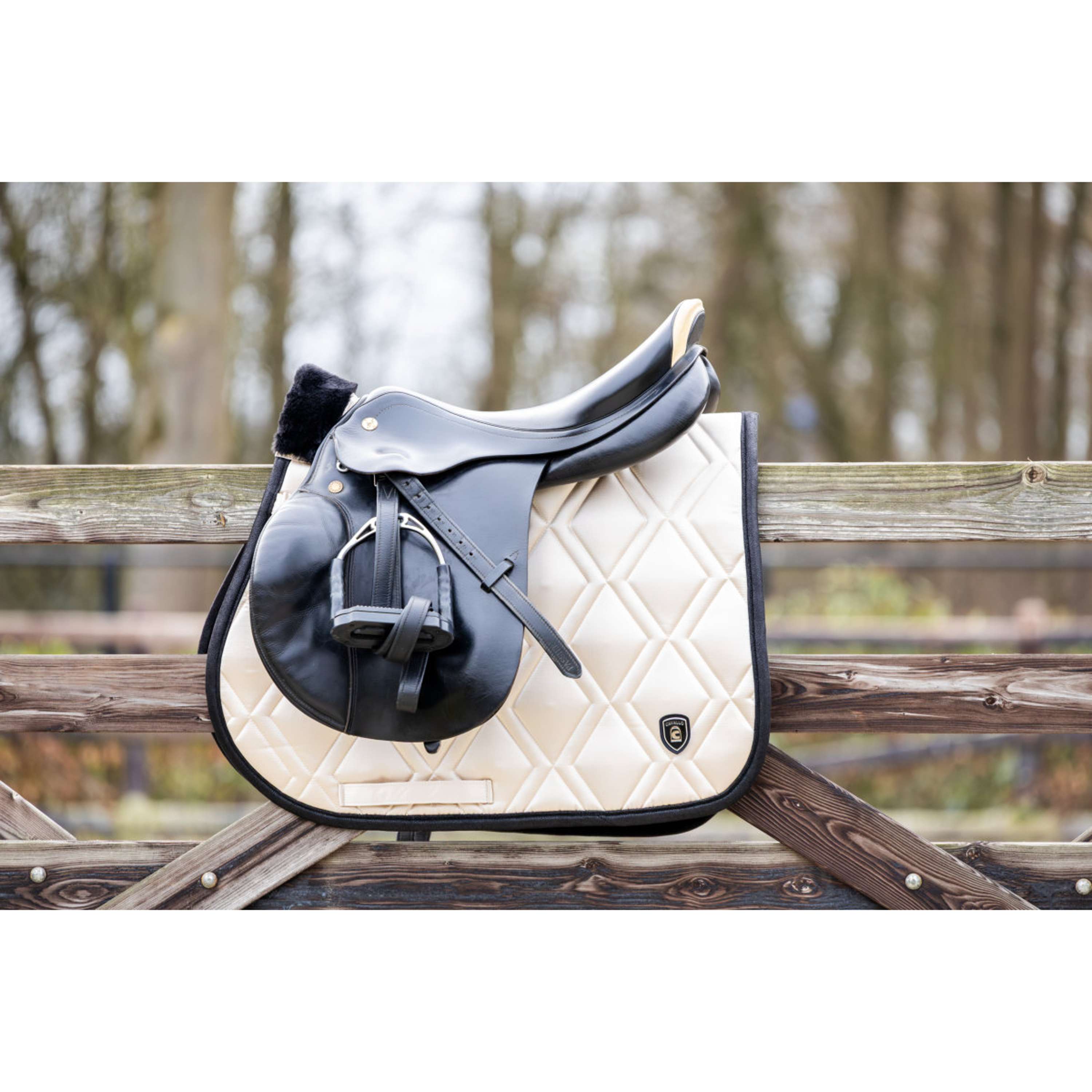 Cavallo Mantilla Cavallune Propósito general Vainilla