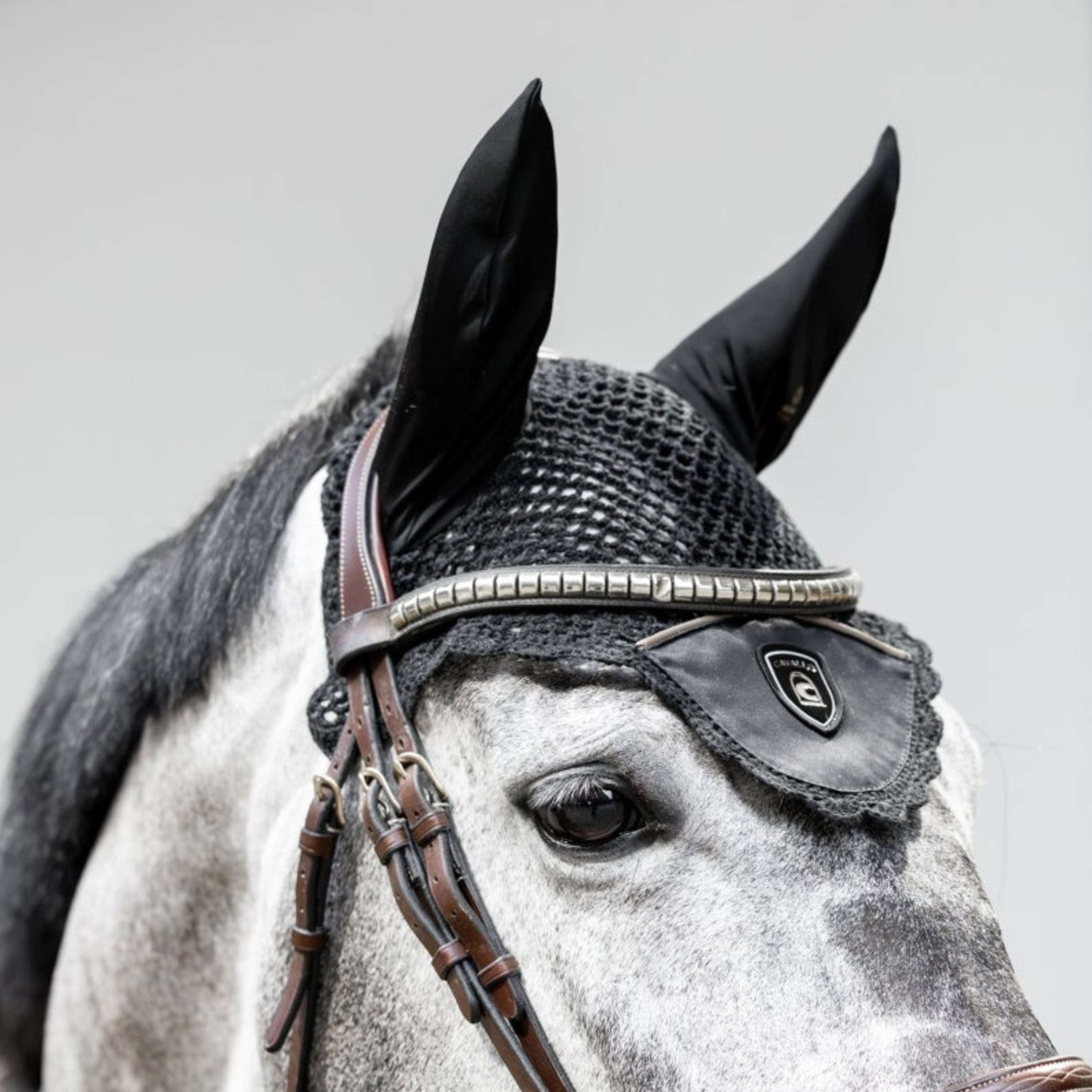 Cavallo Bonete para Orejas Cavalliza Negro