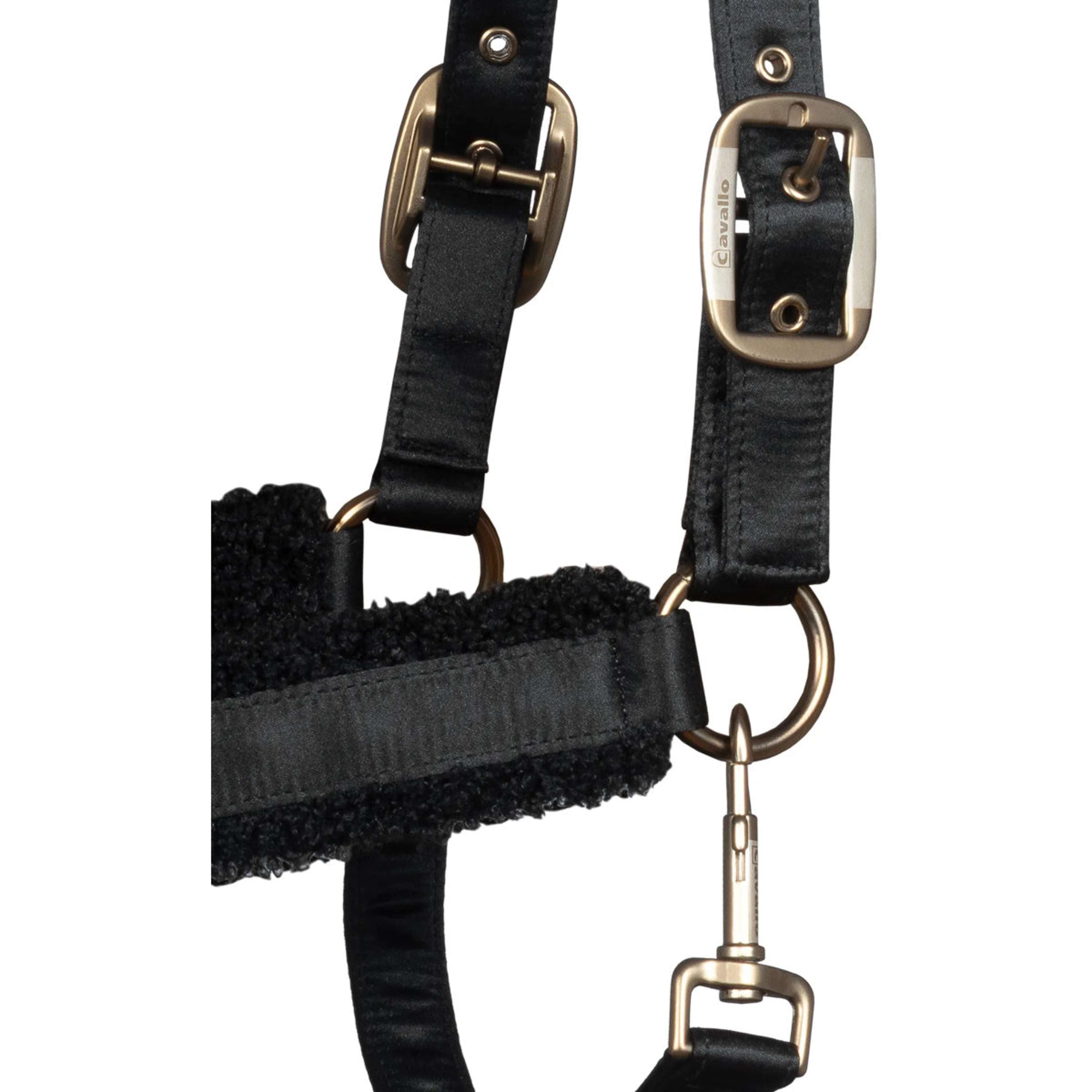 Cavallo Cabestro Cavallidi Negro