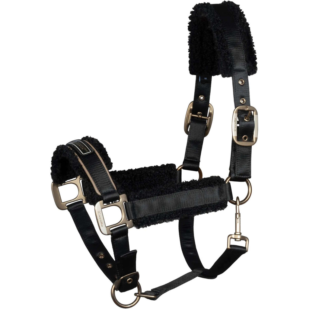 Cavallo Cabestro Cavallidi Negro