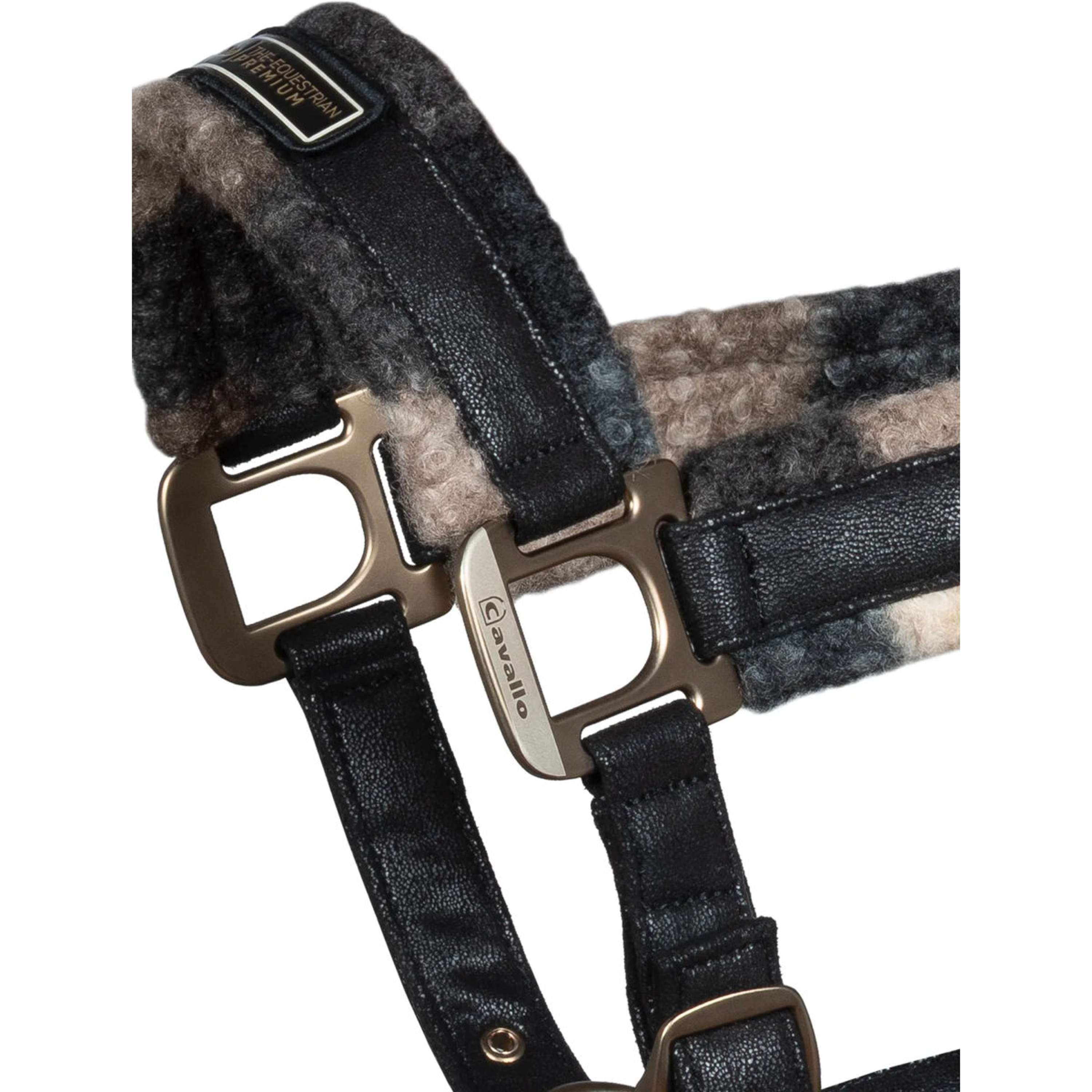 Cavallo Cabestro Cavallavi Kleur ES: Cuadros