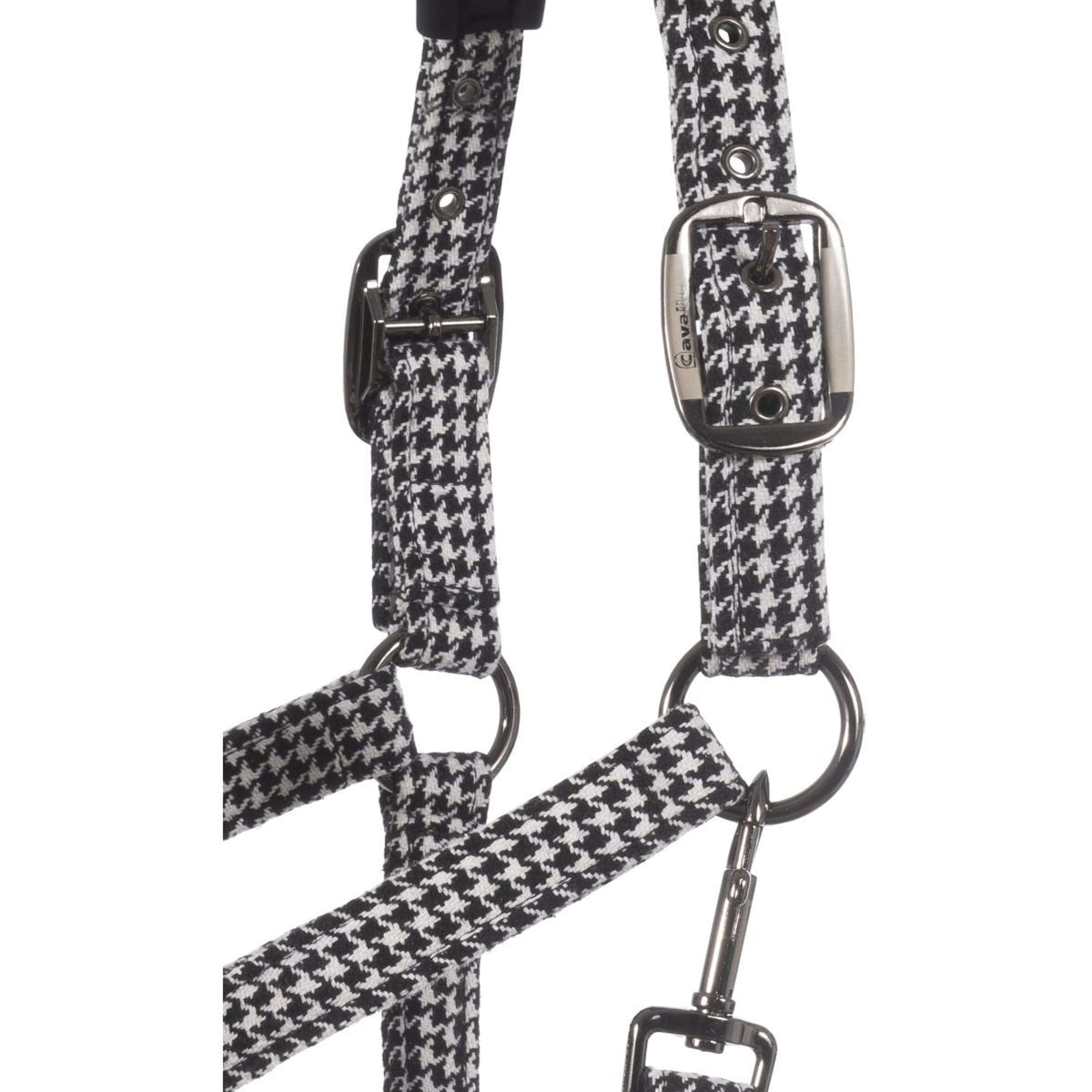 Cavallo Cabezada Cavalpeppy Negro