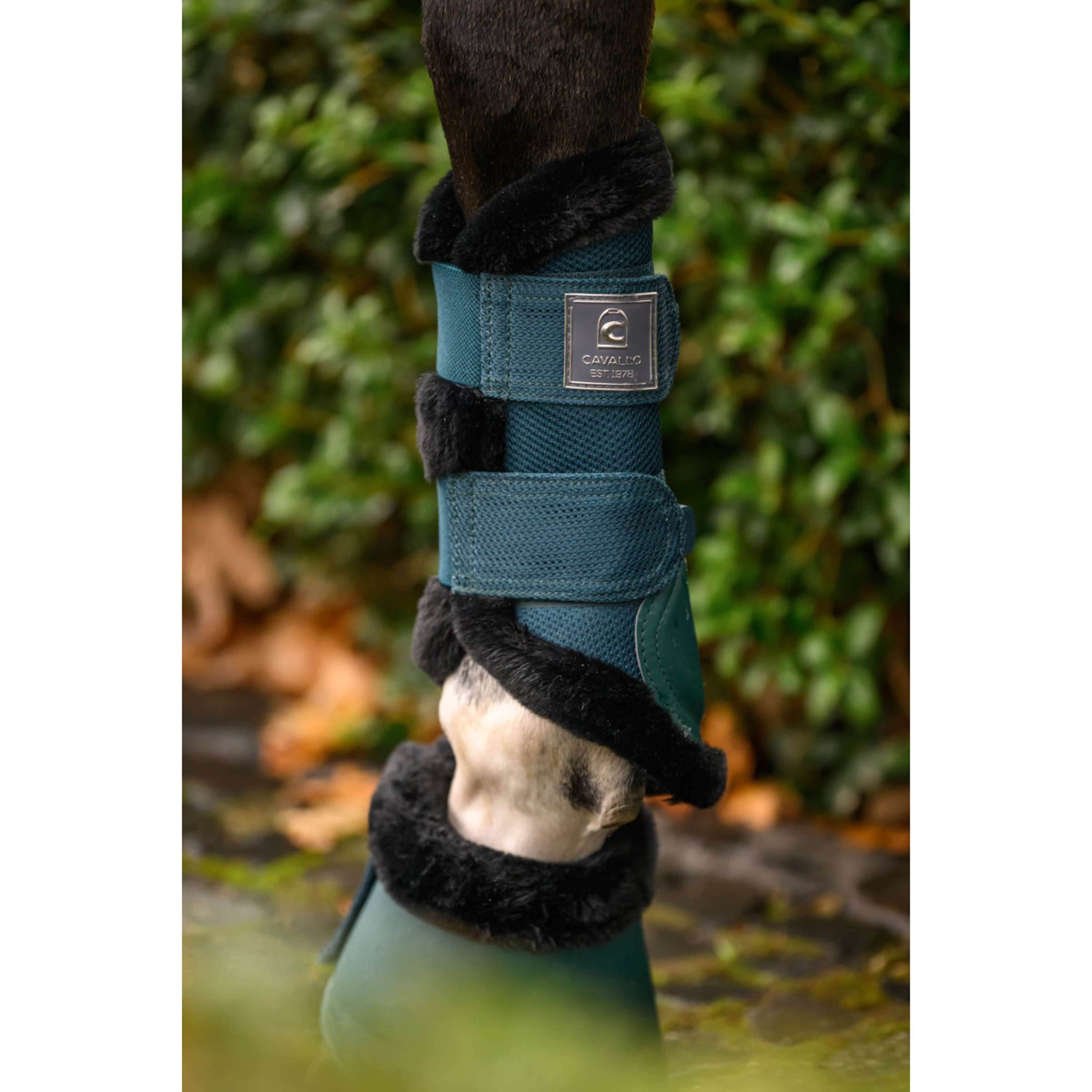 Cavallo Botas para Caballos CavalJodi Dark Peacock