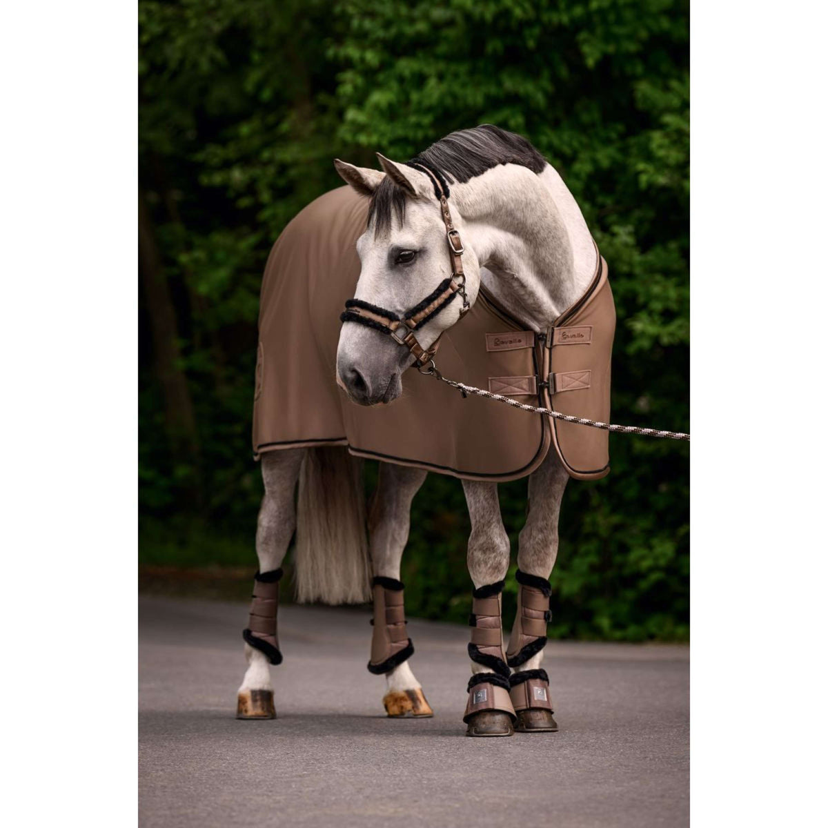 Cavallo Manta de Forro Polar CavalQuick Dry Cooler Mocha Latte