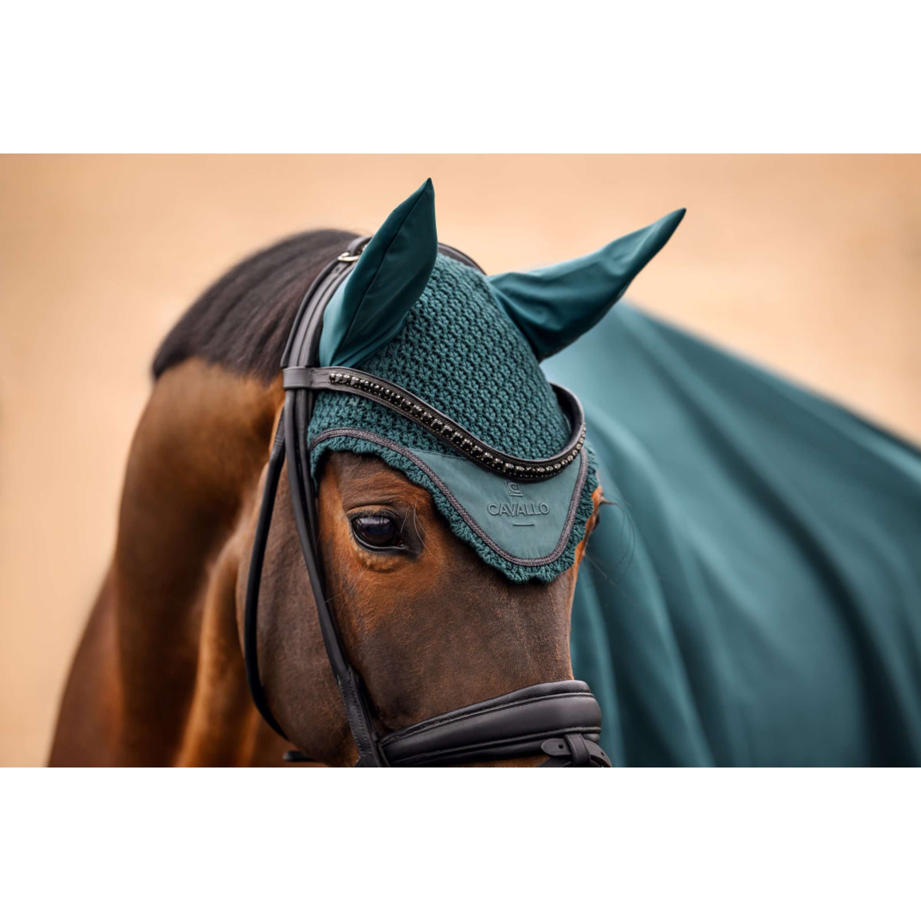 Cavallo Bonete para Orejas CavalPerla Dark Peacock